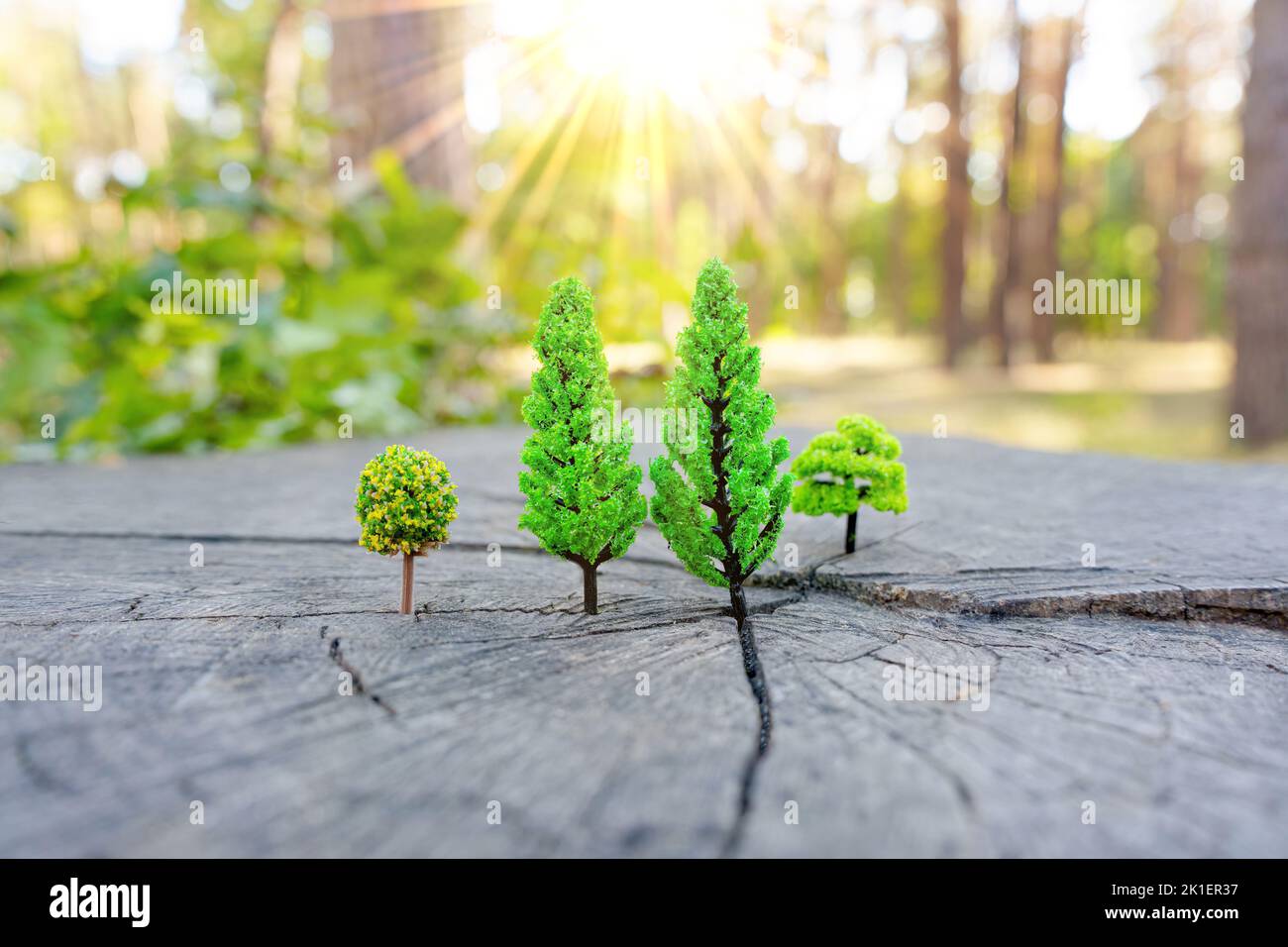 Toy forest on a tree stump at sunrise Stock Photo
