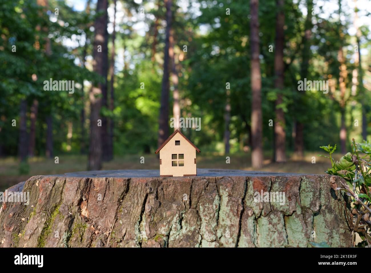 Small wooden toy house model placed on a large tree stump in the forest. Nature and real estate concept. Housing effecting deforestation. Stock Photo