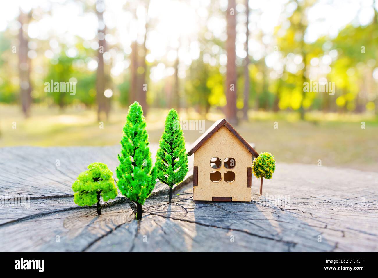 Toy miniature house model and trees placed on a tree stump in the woods. Creative countryside real estate concept. Stock Photo