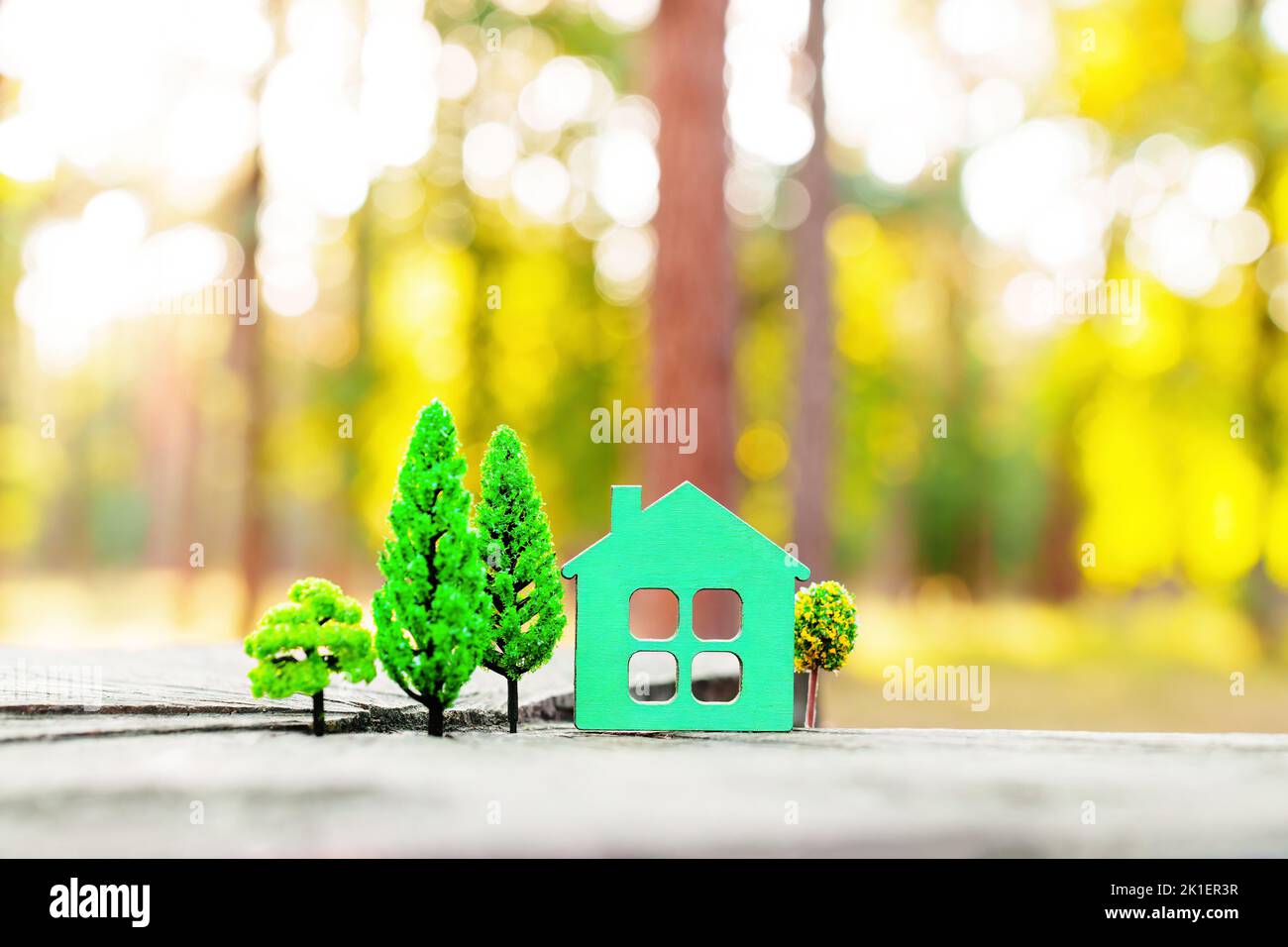 Flat house shape and fake toy trees placed on a tree stump in the woods. Sustainable green home concept. Stock Photo