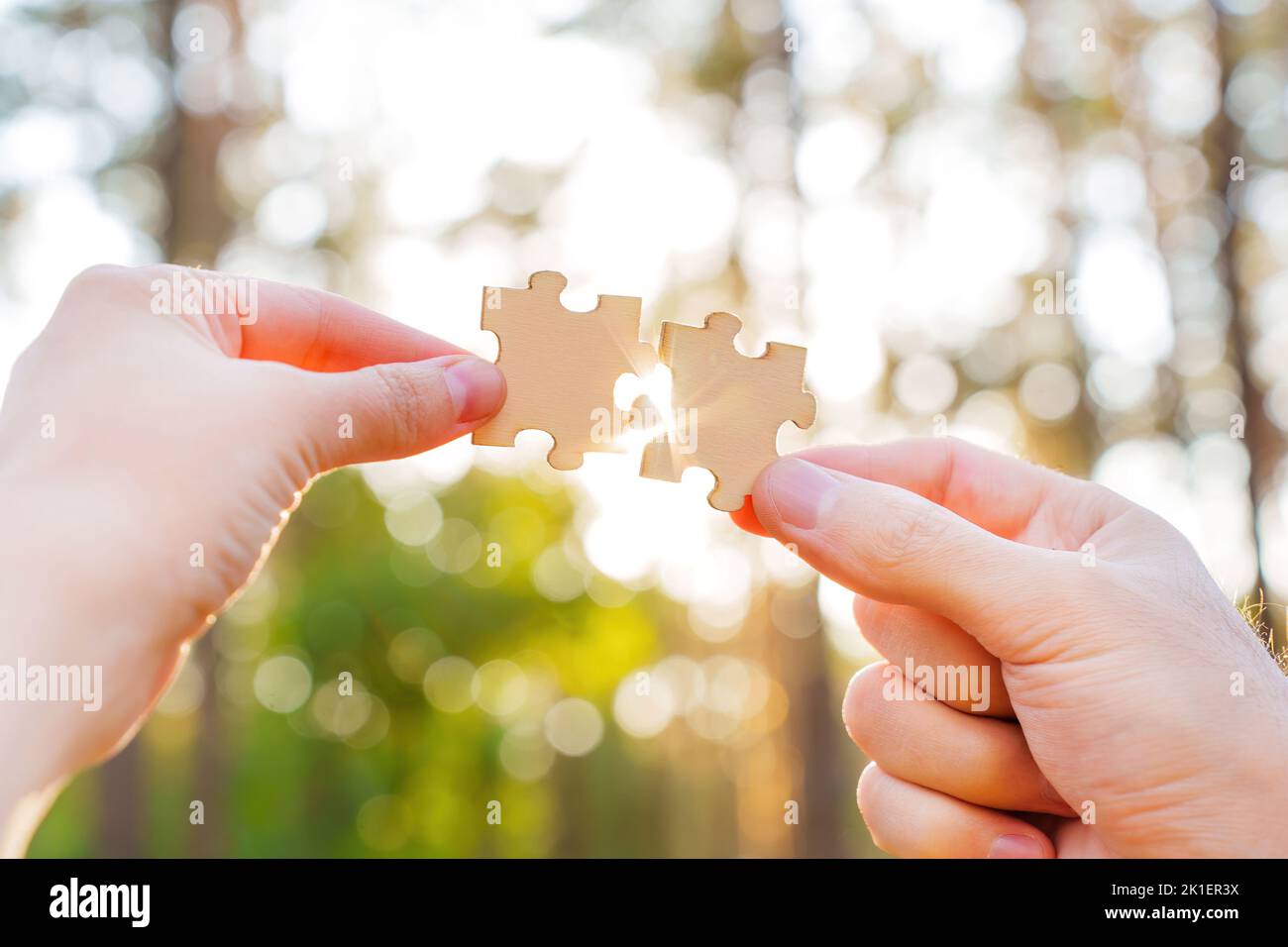 Hands connecting two puzzle pieces with sun rays coming through against forest background. Teamwork and business cooperation concept. Stock Photo