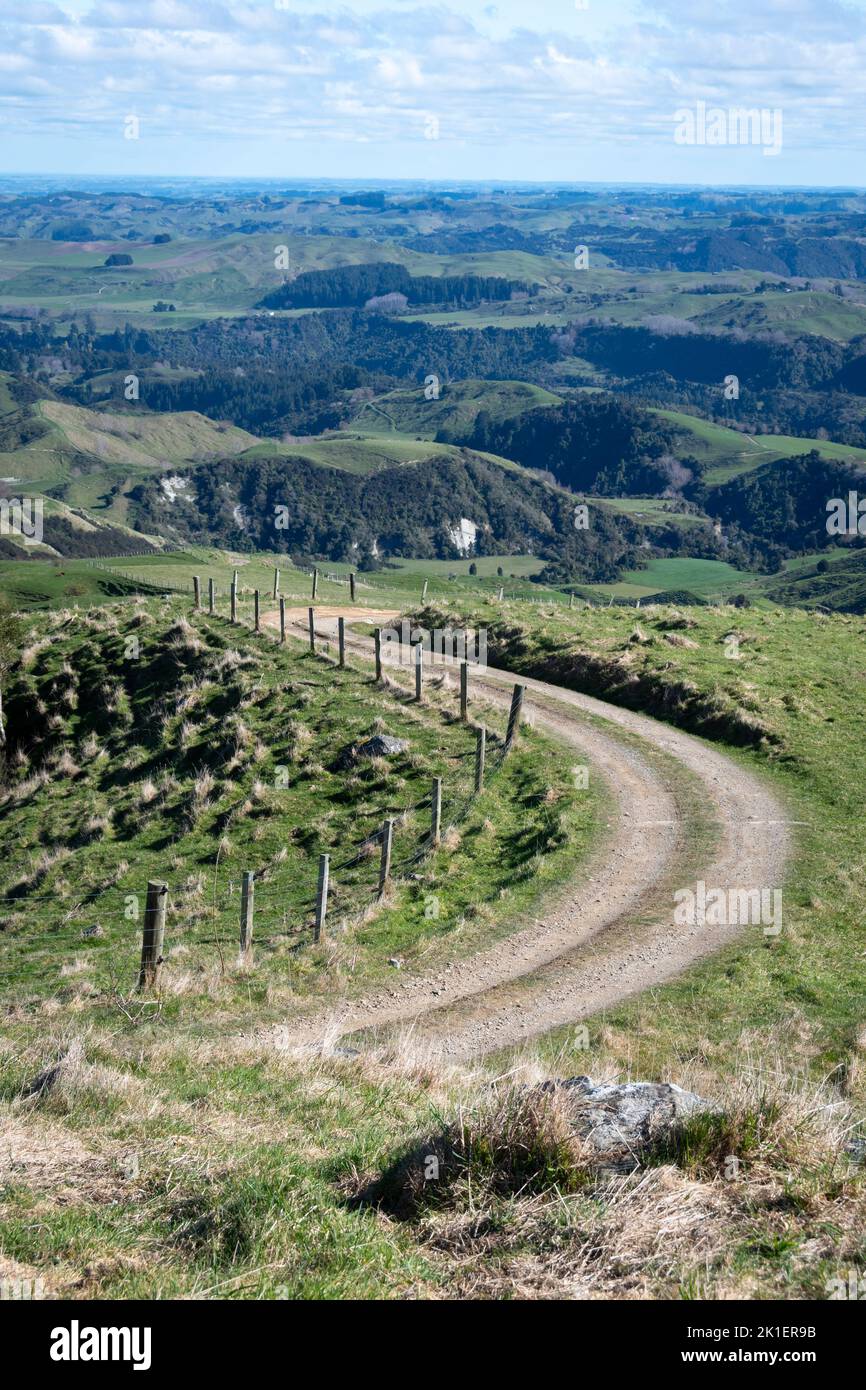 Farm track in hills, Pohangina Valley, Manawatu, North Island, New Zealand Stock Photo