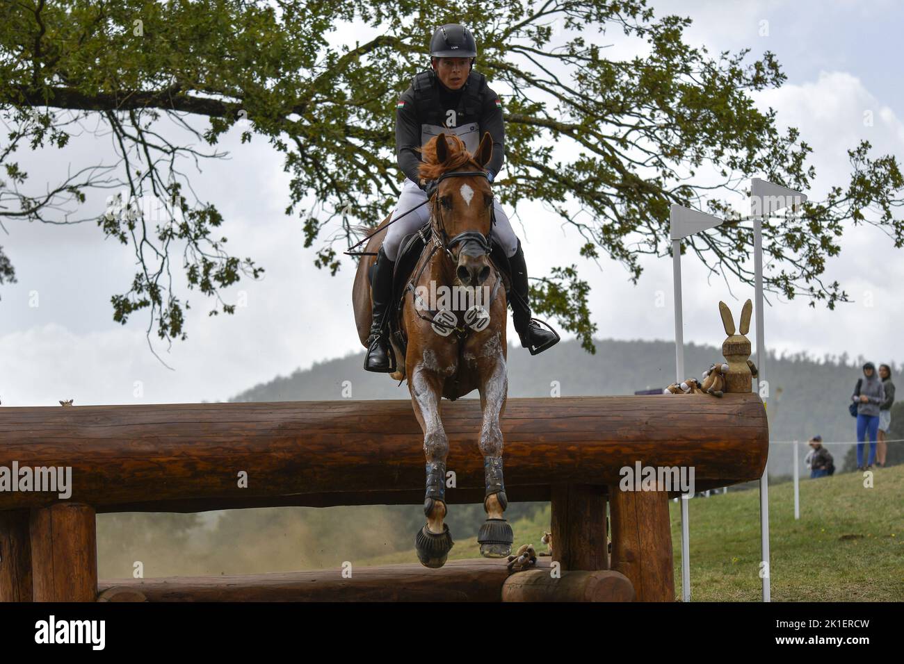 Balazs Kaizinger (HUN) riding Clover 15 during the crosscountry course of the Equestrian FEI