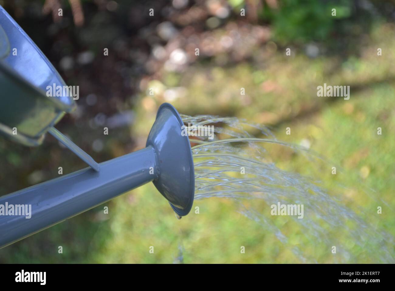 Watering Can Sprinkling Water Stock Photo