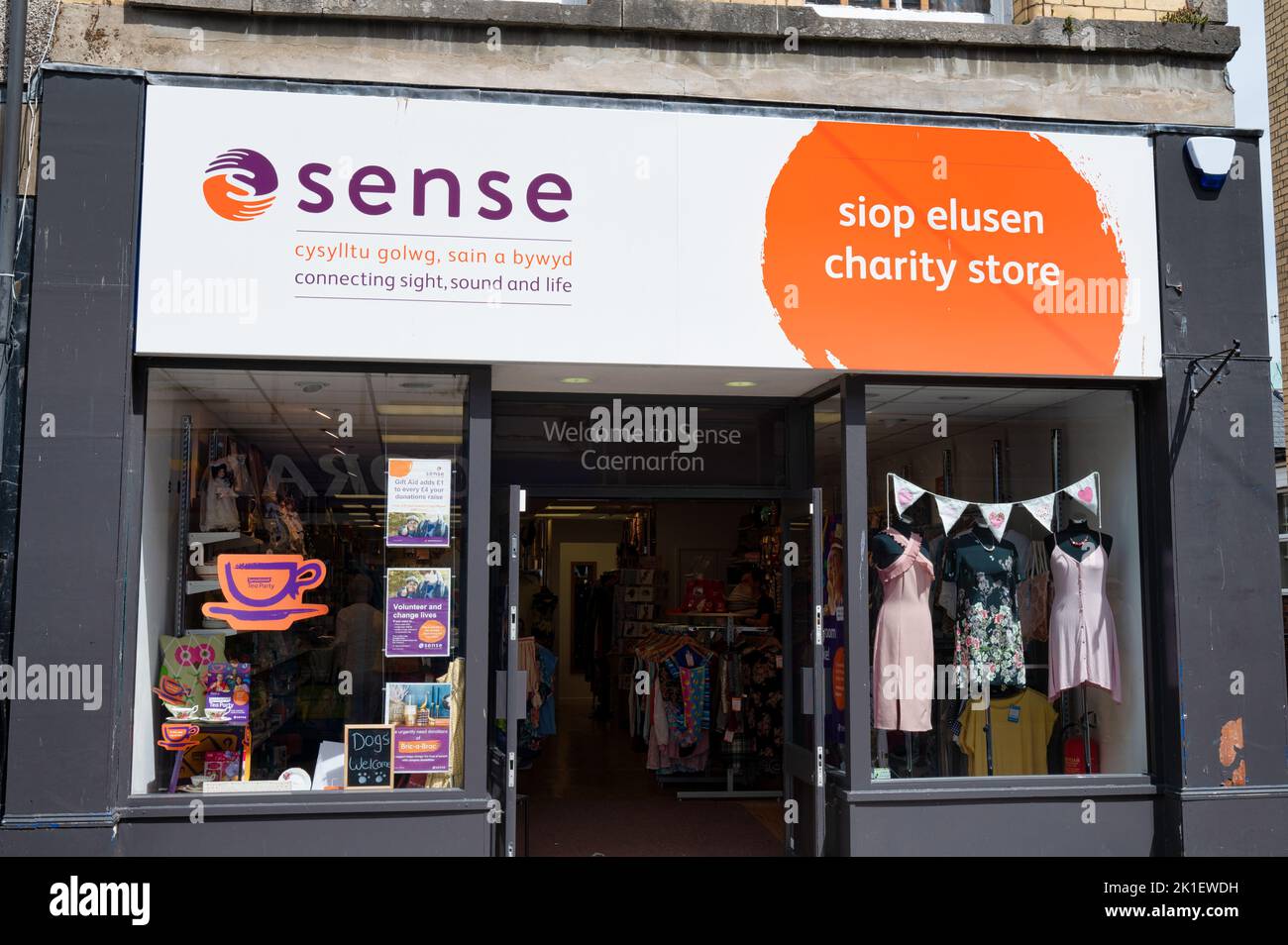 Caernarfon, UK- July 11, 2022:  Sense Charity store in Caernarfon in North Wales. Stock Photo