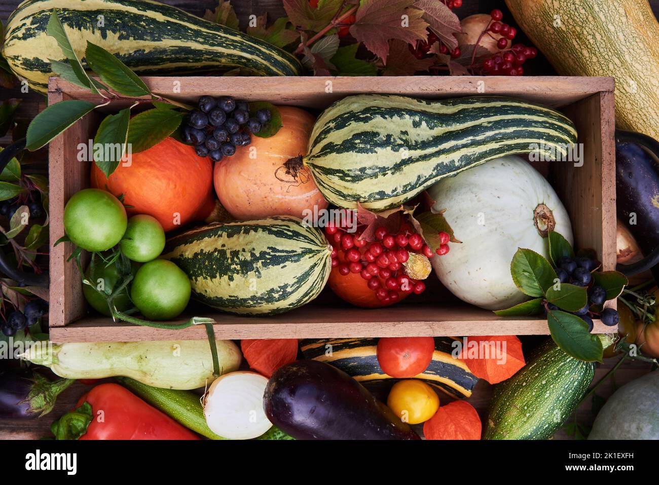 Delicious autumn vegetables in and around a wooden box. Full frame ripe vegetables. The concept of healthy eating. Stock Photo
