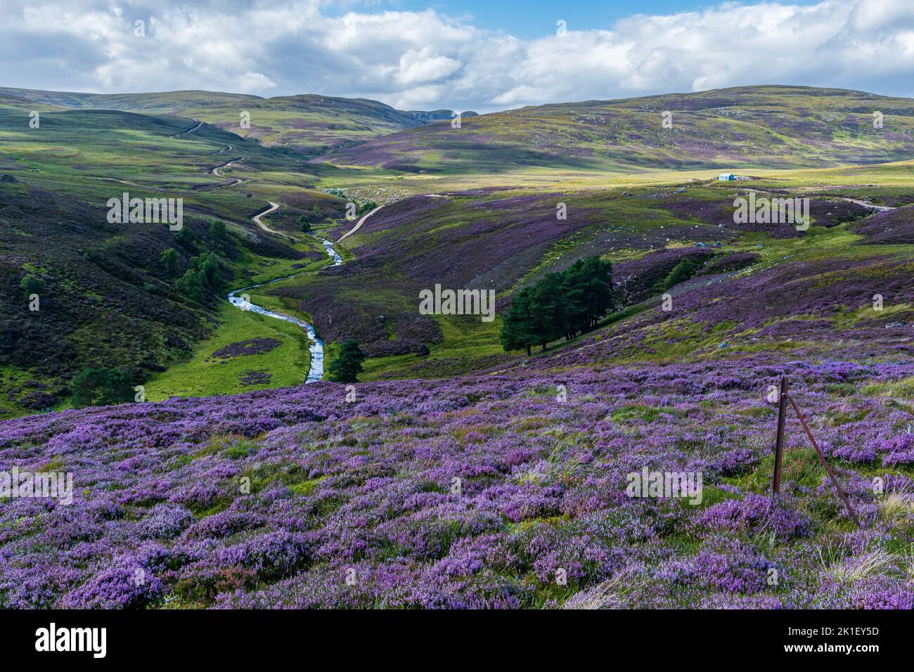 Heather clad hills at Garbole, Farr, Scotland, United Kingdom Stock Photo