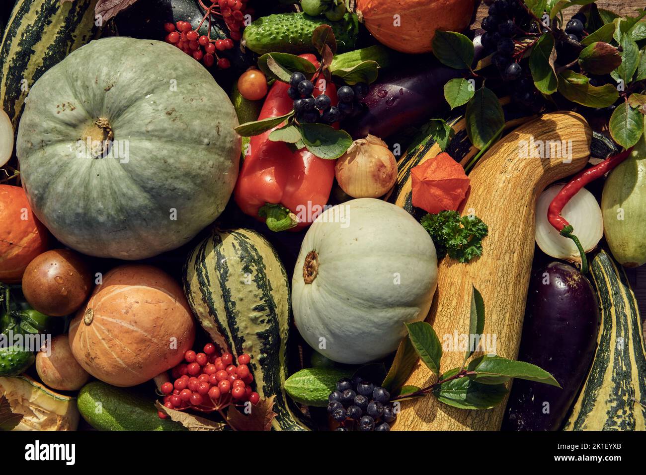 Ripe autumn vegetables and berries are laid out on the table. View from above. Background of fresh vegetables.The concept of a healthy lifestyle. Stock Photo