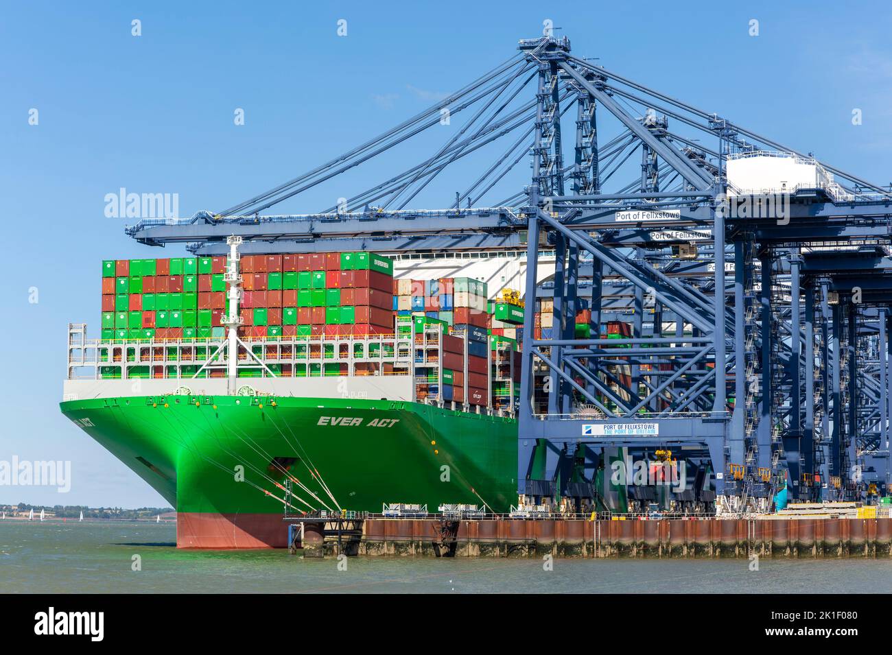 Evergreen Ever Act container ship and gantry cranes on quayside, Port of Felixstowe,  Suffolk,  England, UK Stock Photo
