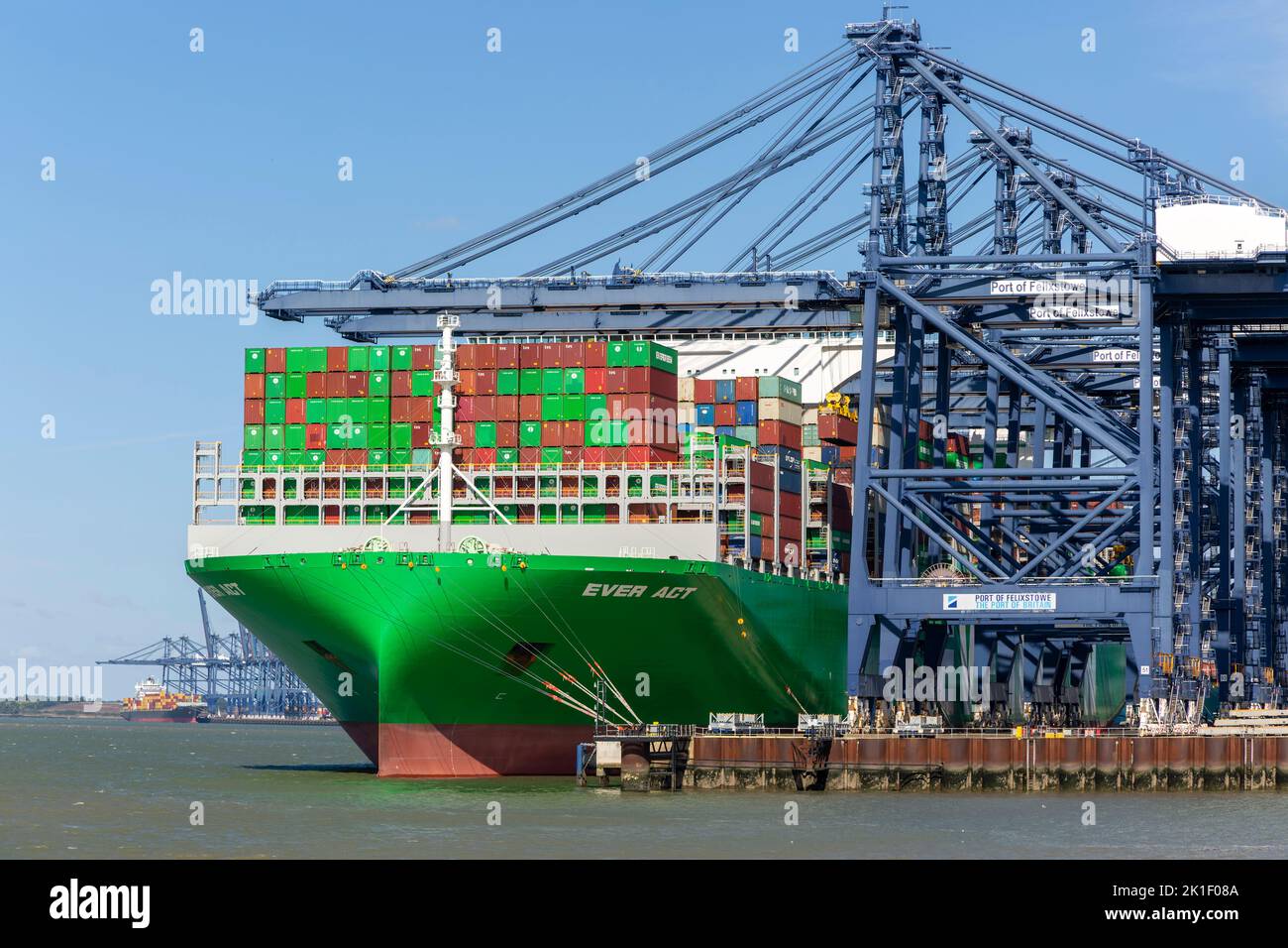 Evergreen Ever Act container ship and gantry cranes on quayside, Port of Felixstowe,  Suffolk,  England, UK Stock Photo