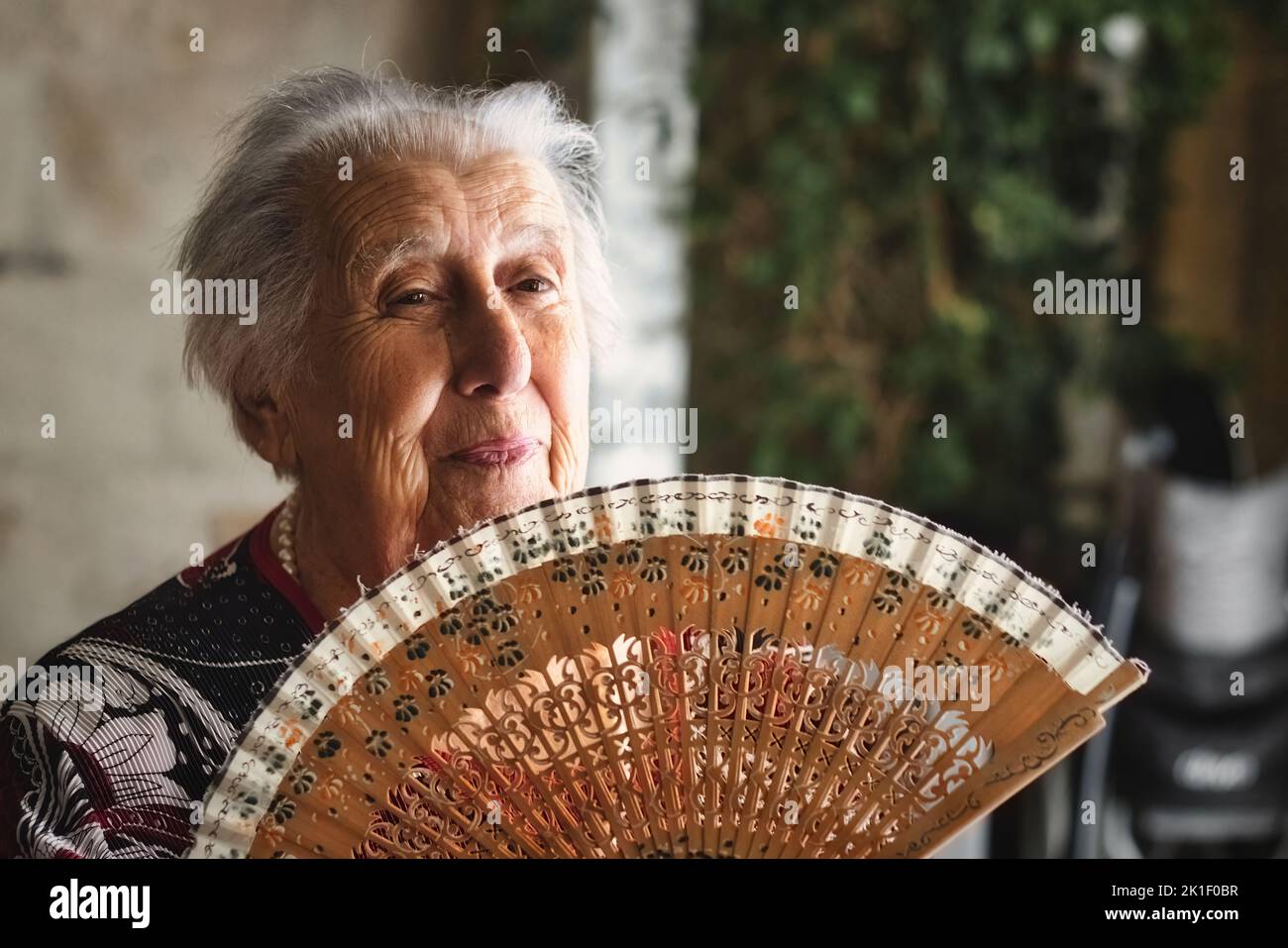 Old lady white hair pensioner hi-res stock photography and images - Alamy