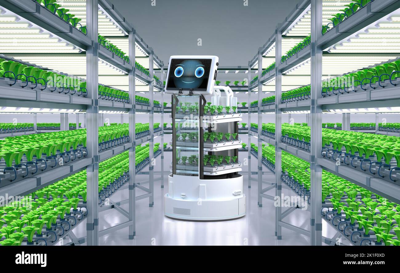 Agriculture technology with 3d rendering robot assistant in light growth indoor farm Stock Photo
