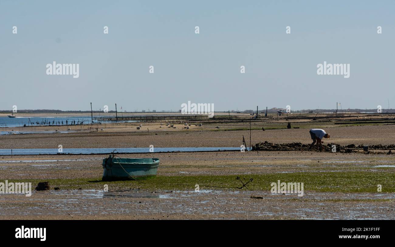 South Portugal scenery with little boats, water and sand Stock Photo