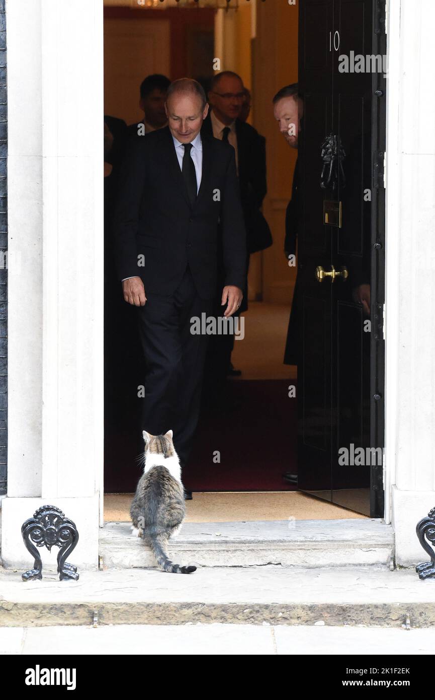 London, UK. 18th Sep, 2022. Michael Martin Irish Taoiseach leaves No10 Downing Street this morning after a meeting with Liz Truss British Prime Minister and is greeted by Larry the Cat Credit: MARTIN DALTON/Alamy Live News Stock Photo