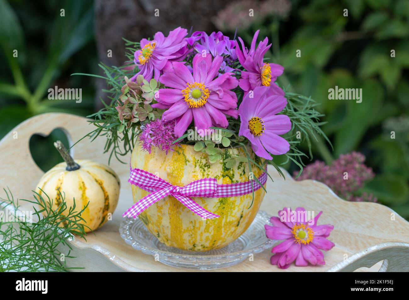 bouquet of pink japanese anemones and cosmos flower and pumpkin as vase Stock Photo