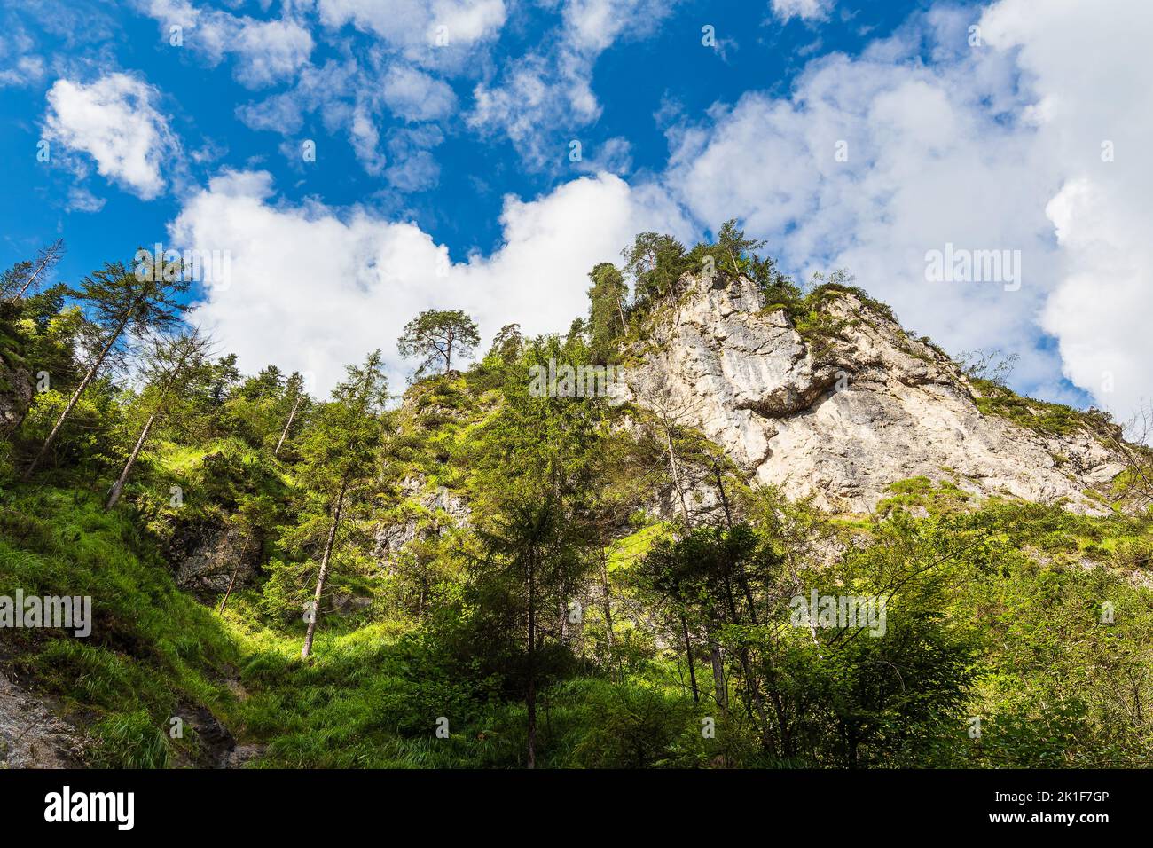 Gorge Almbachklamm in the Berchtesgaden Alps, Germany. Stock Photo