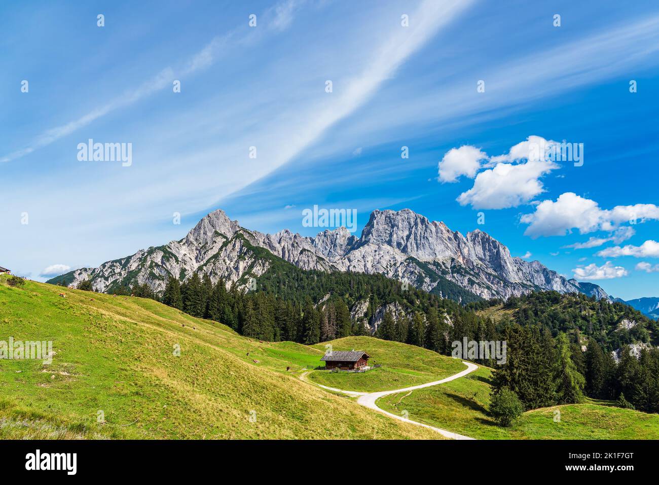 View to the mountain pasture Litzlalm in the Alps, Austria. Stock Photo