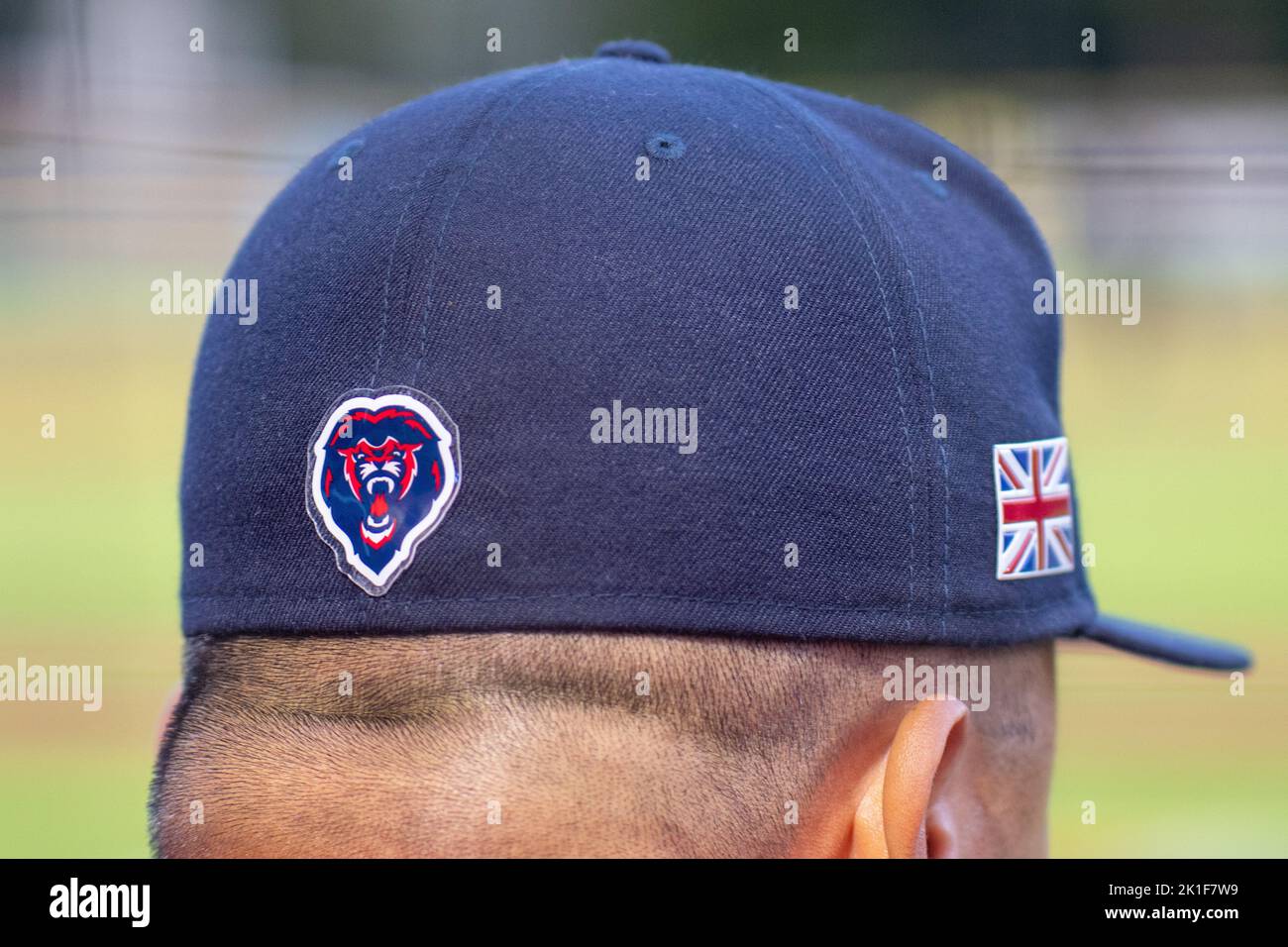 Union jack yankees hat cheap