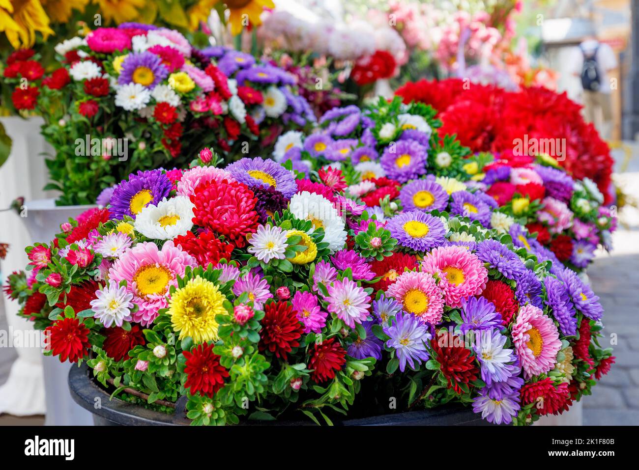 A bouquet of fresh multi-colored chrysanthemums delights the eye with their bright view of the city street in blur. Selective focus, close-up. Stock Photo