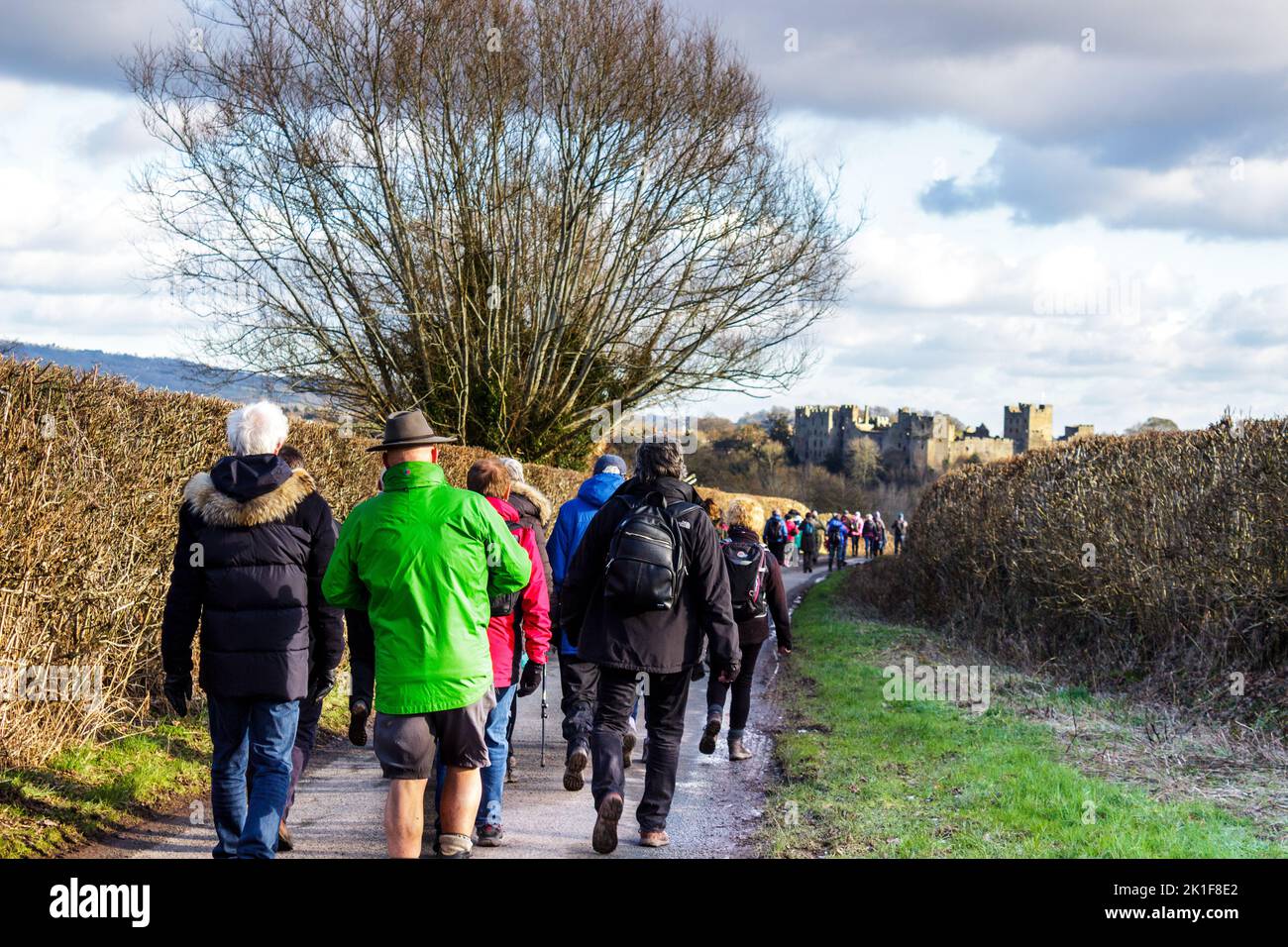Group of walkers, Ludlow, Stock Photo