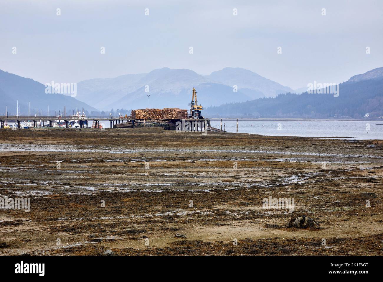 On a hazy late afternoon, the pier on the Holy Loch is stacked with timber ready for transport at Dunoon. Argyll and Bute Stock Photo