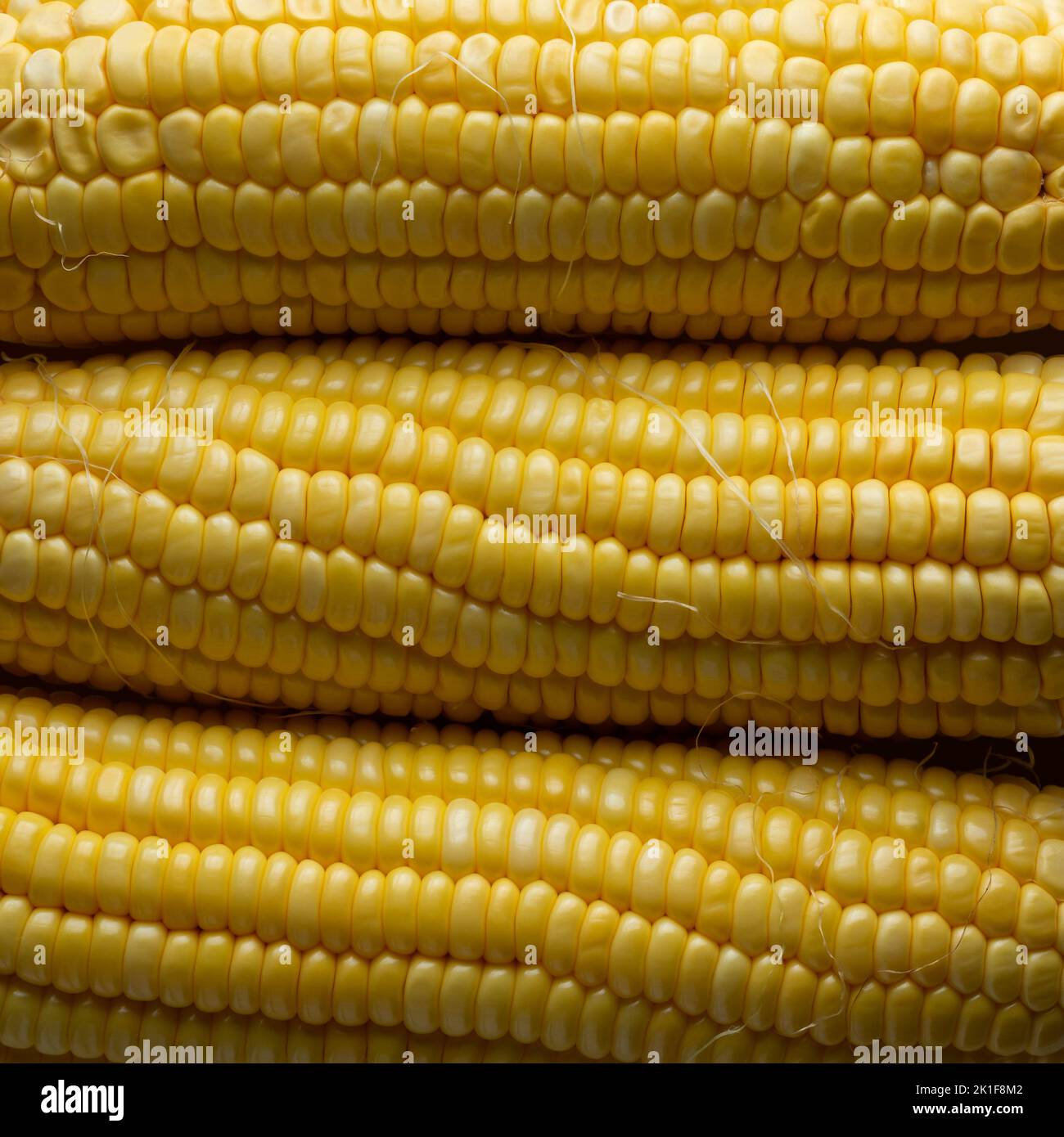 close-up abstract of corn or maize, popular starchy vegetable full frame background Stock Photo