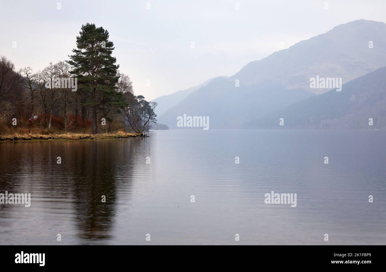 On a late March evening, gentle rain begins to fall on the reflective still surface of Loch Eck. Argyll and Bute Stock Photo