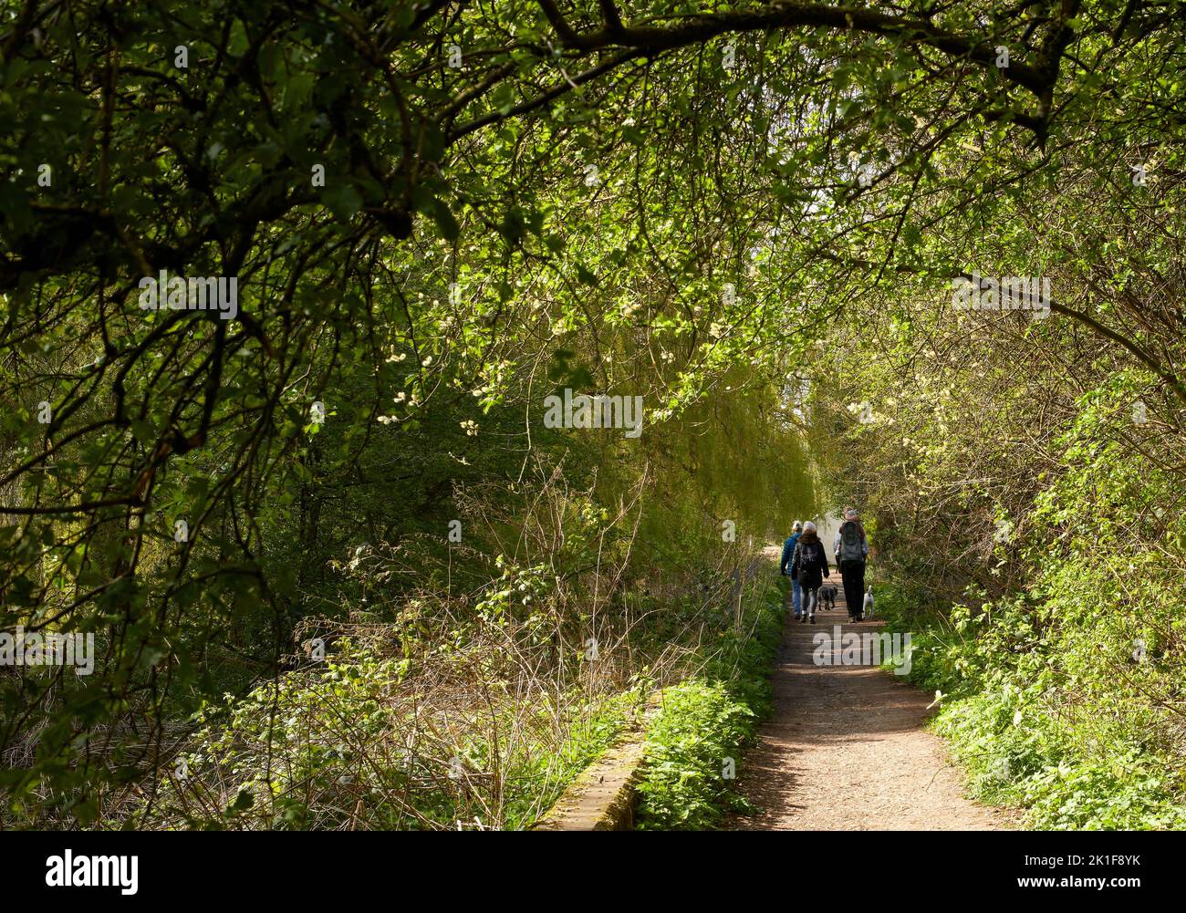 In April, A family group walking on a visit to Attenborough Nature Reserve in Nottingham Stock Photo