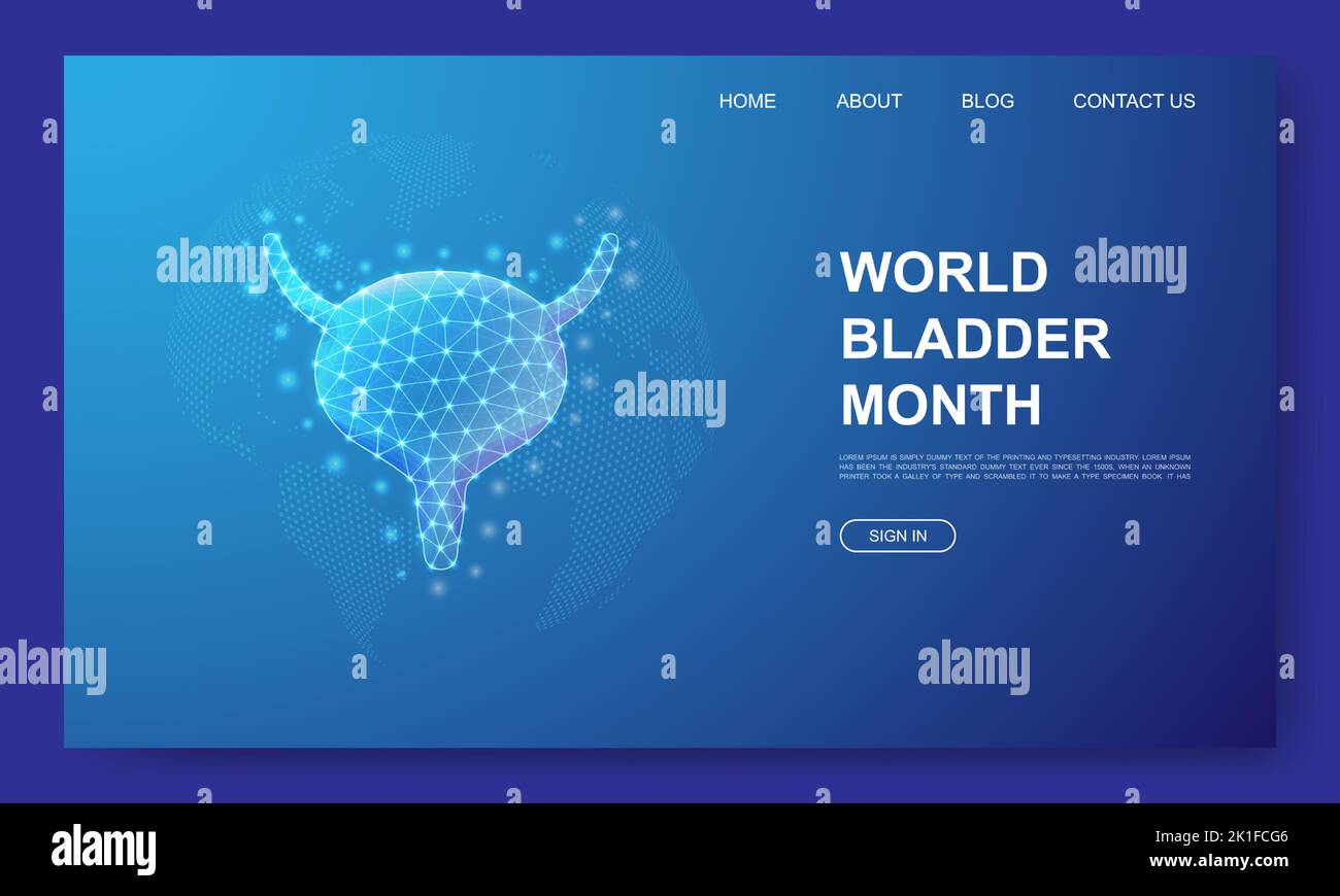 Bladder 3d low poly website template. Reproductive system design ...