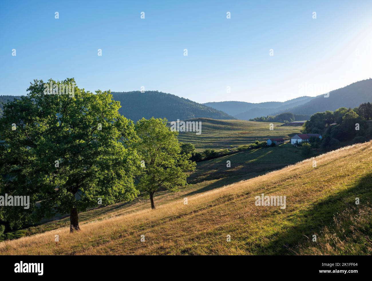 early morning landscape of vosges with farm and fields in low sunlight in summer under blue sky Stock Photo