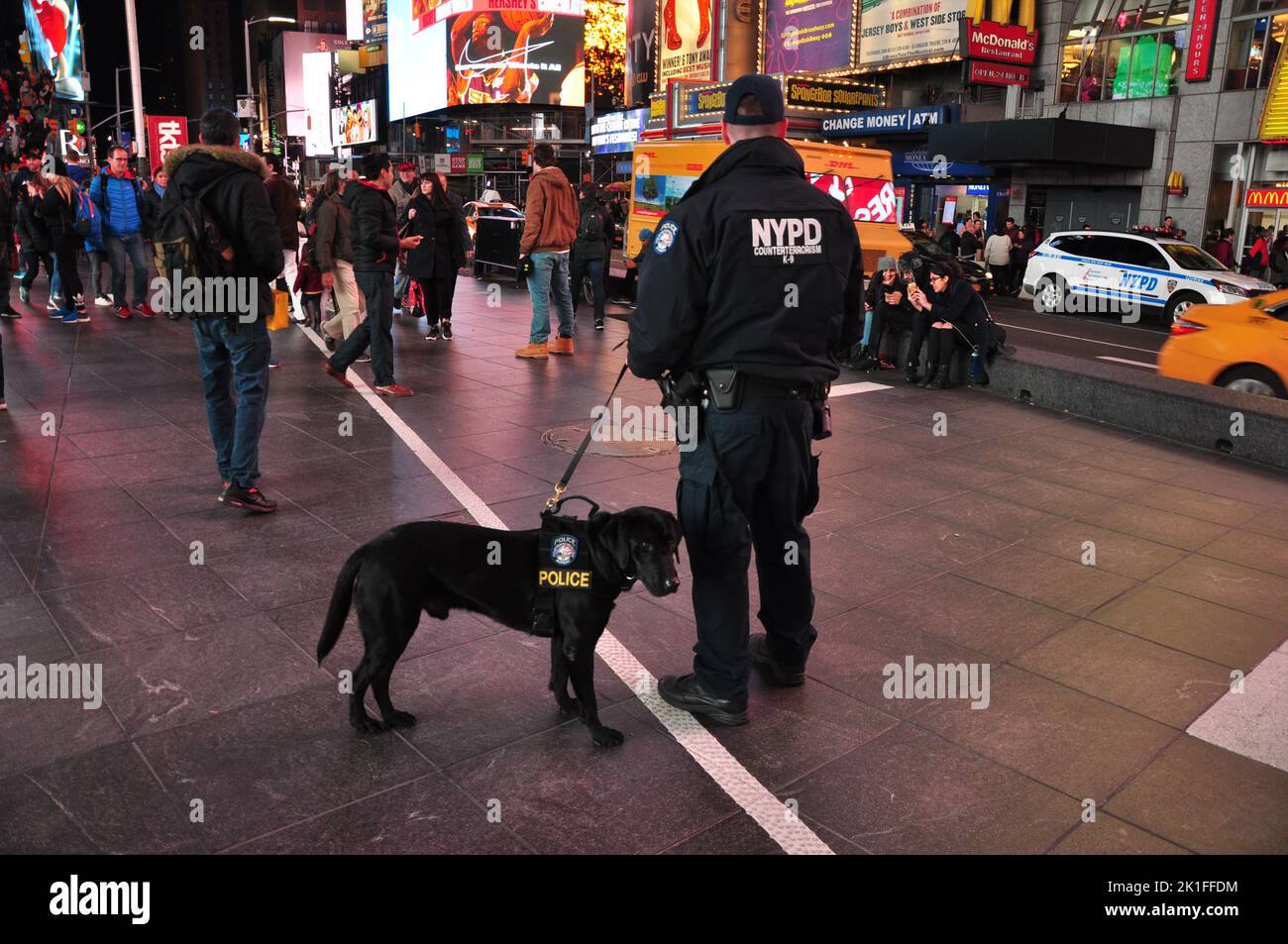 The NYPD officer with dog at Times Square in New York, US Stock Photo