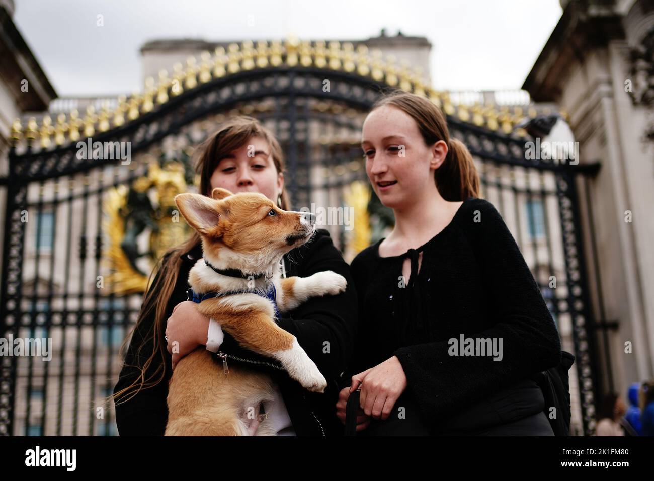 Two women (names not given) with Clive the corgi outside Buckingham Palace in London. Picture date: Sunday September 18, 2022. Stock Photo