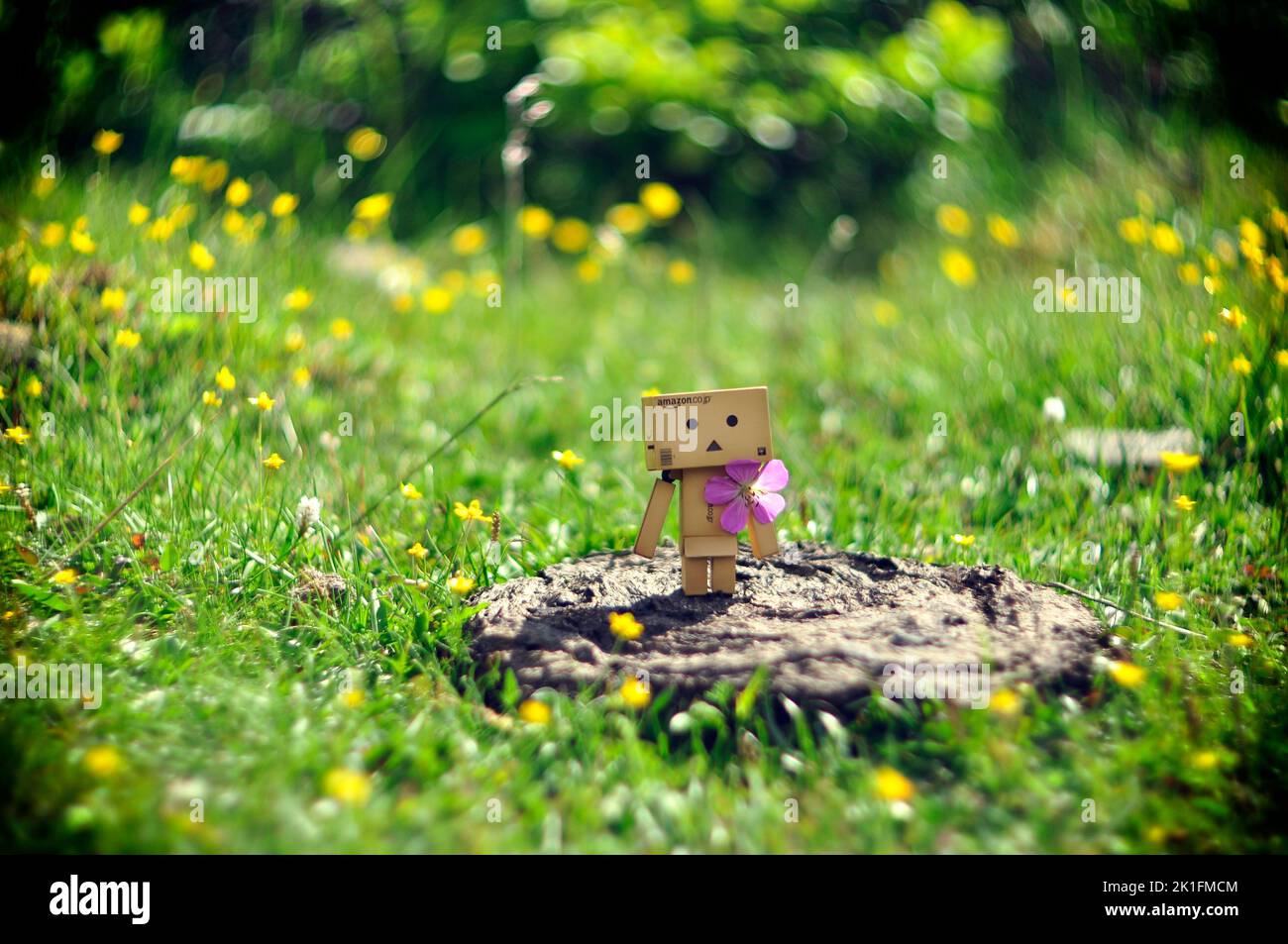 A closeup shot of a small cardboard box robot Danbo standing on a stone  surrounded by green grass - sad emotion concept Stock Photo - Alamy