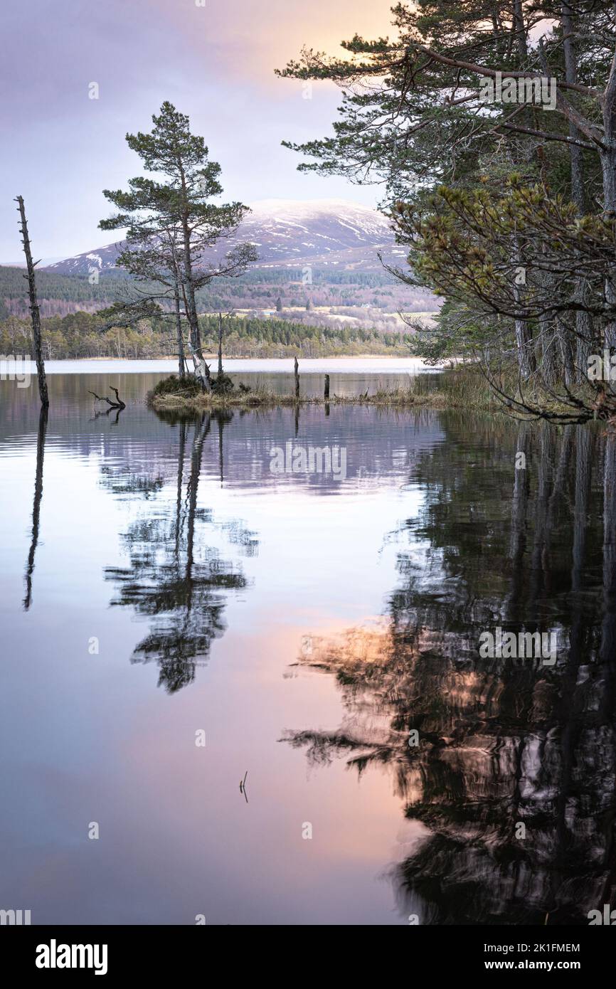 Loch Garten In the Cairngorms National Park. Stock Photo