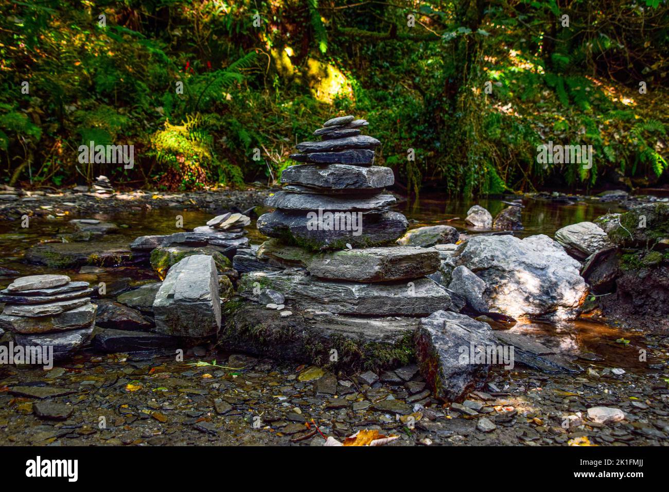 Healing forest hi-res stock photography and images - Alamy