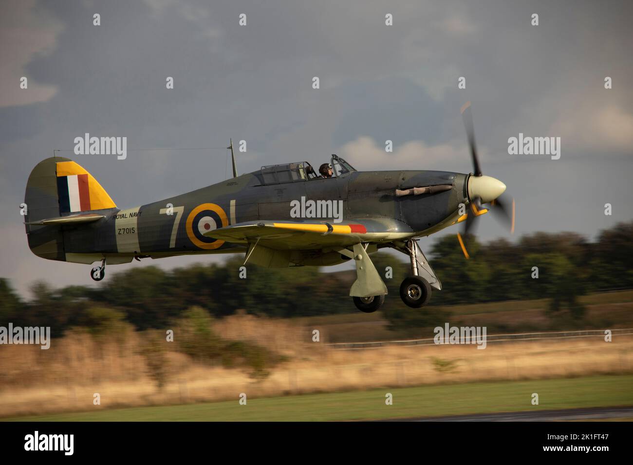 Hawker Sea Hurricane Mk.Ib Z7015 landing at dusk, after it's flying display at the IWM Duford Battle of Britain Airshow 10th September 2022 Stock Photo