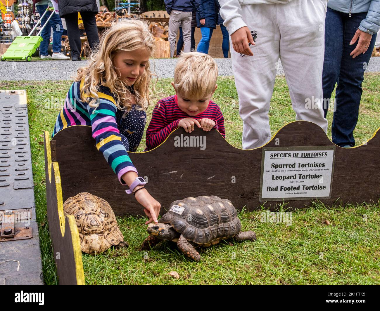 Ripon, North Yorkshire, 18th September 2022. The last day of the Harrogate Autumn Flower Show. Tilly and Oliver play with tortoises Albert and Shirley. Picture Credit: ernesto rogata/Alamy Live News Stock Photo