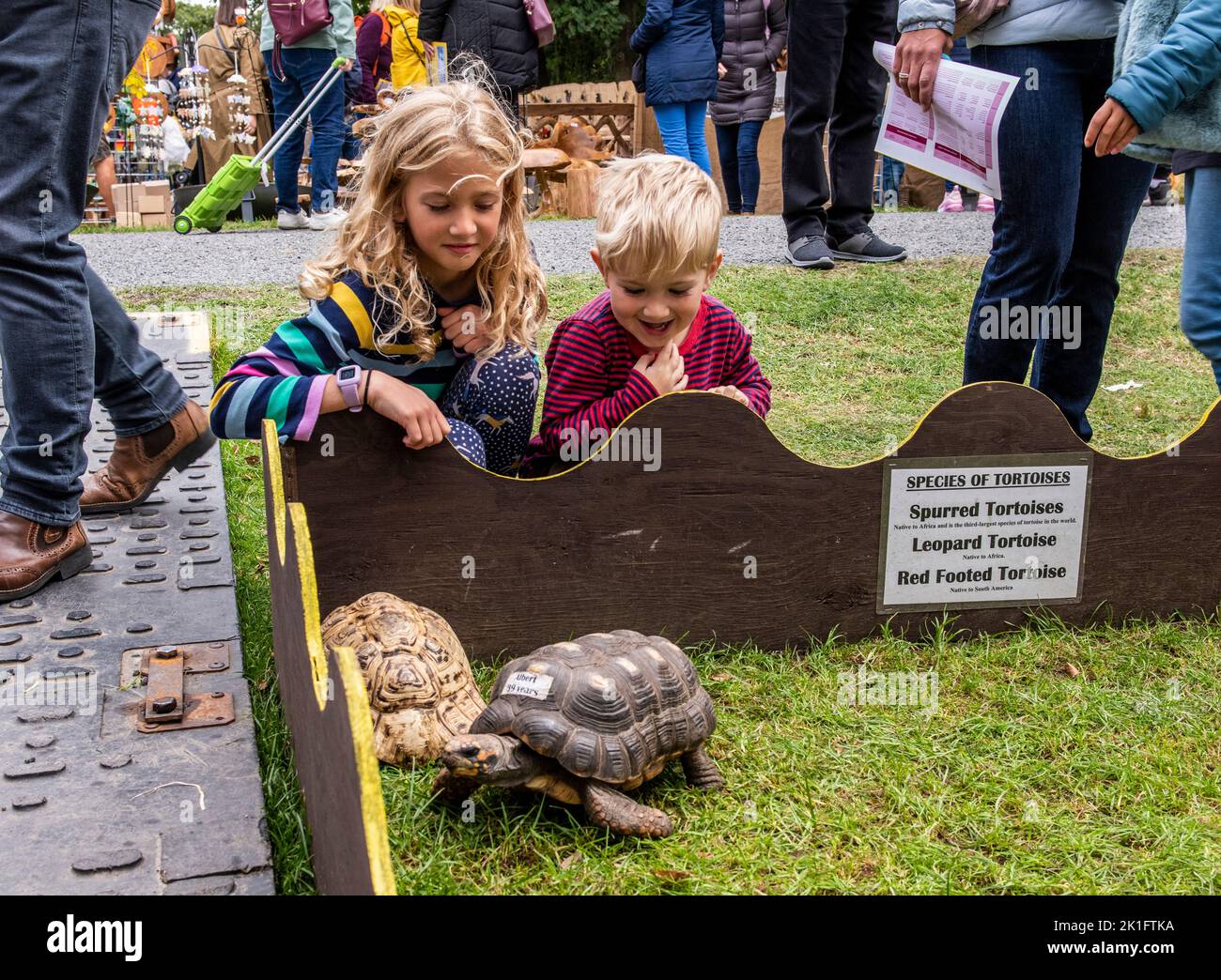 Ripon, North Yorkshire, 18th September 2022. The last day of the Harrogate Autumn Flower Show. Tilly and Oliver play with tortoises Albert and Shirley. Picture Credit: ernesto rogata/Alamy Live News Stock Photo