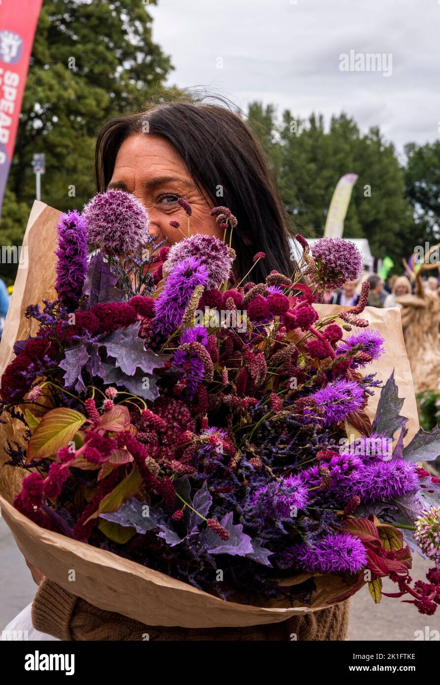 Ripon, North Yorkshire, 18th September 2022. The last day of the Harrogate Autumn Flower Show. A lady hides behind her huge bunch of flowers. Picture Credit: ernesto rogata/Alamy Live News Stock Photo
