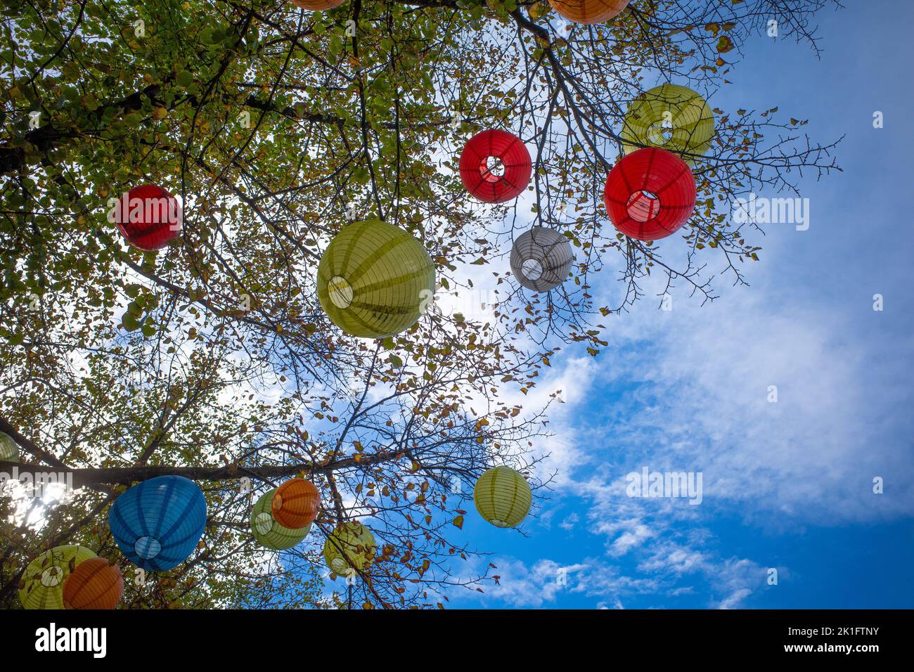 some colorful lanterns hanging in the branches of a tree Stock Photo ...
