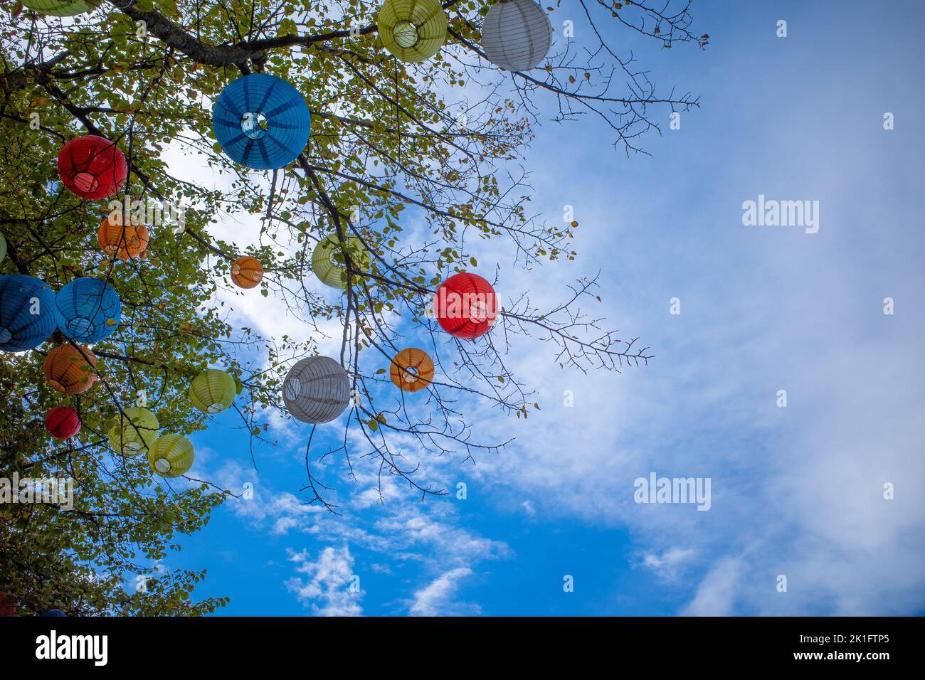 some colorful lanterns hanging in the branches of a tree Stock Photo ...