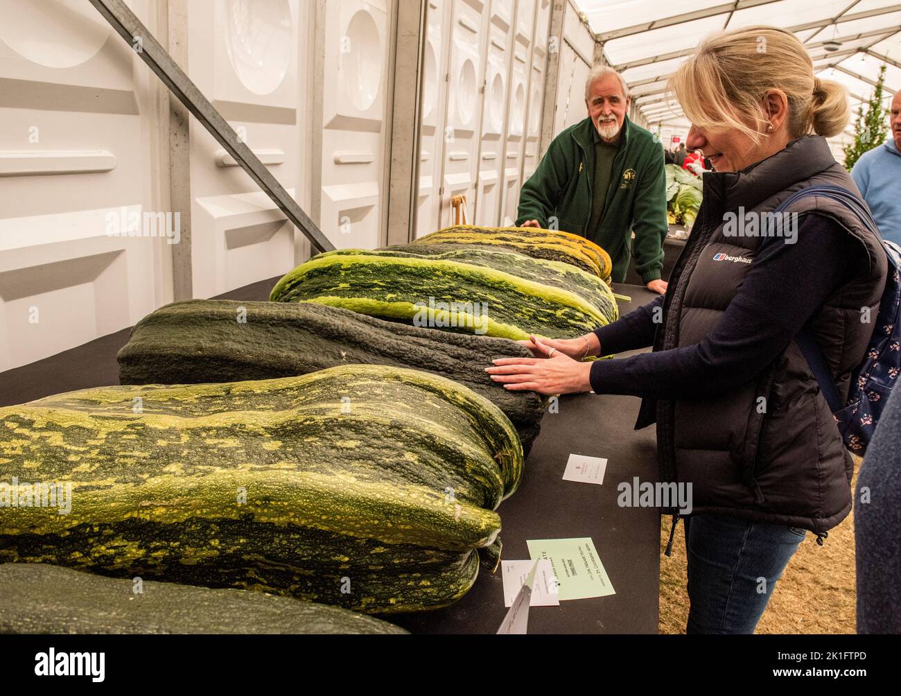 Ripon, North Yorkshire, 18th September 2022. The last day of the Harrogate Autumn Flower Show. Visitors look at the massive vegetables on display. Picture Credit: ernesto rogata/Alamy Live News Stock Photo
