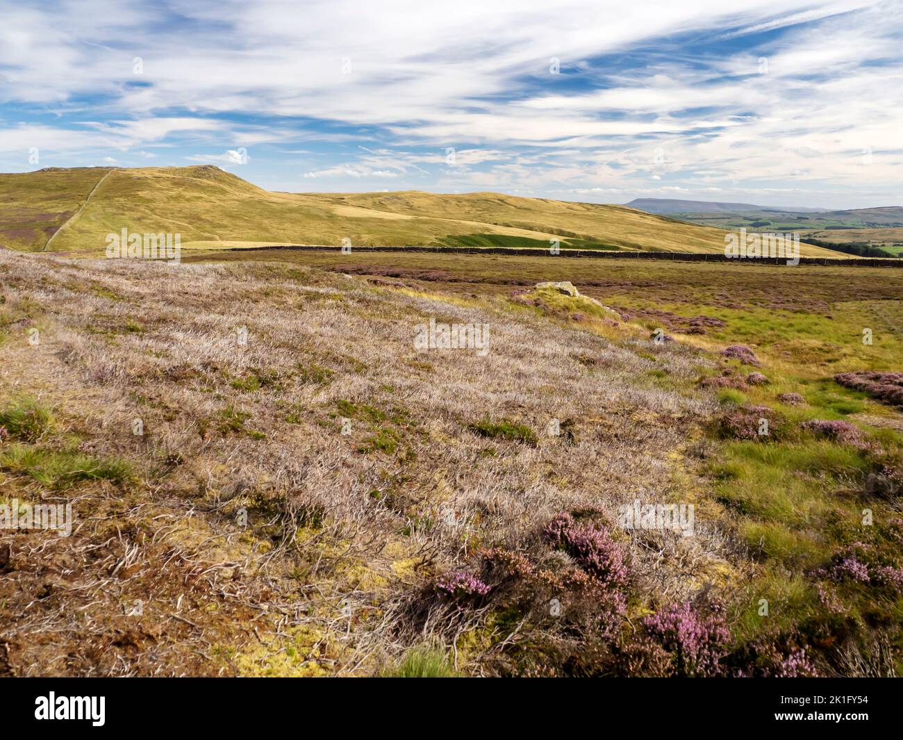 Heather moorland on the Bowland Moors, damaged by the grouse shooting industry, Yorkshire, UK. Stock Photo