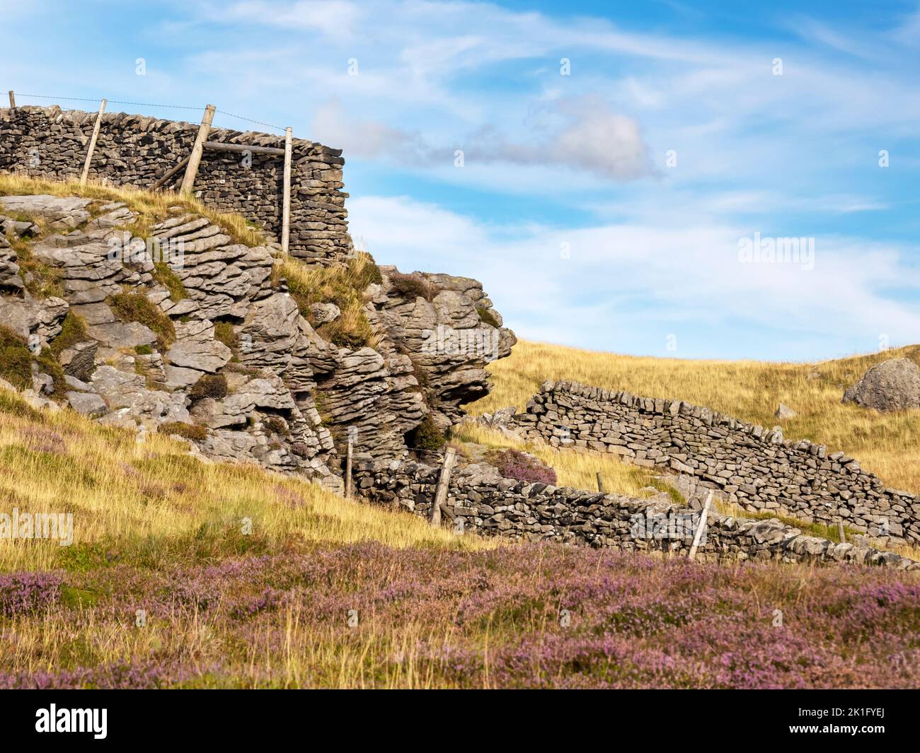 Heather moorland on the Bowland Moors, Yorkshire, UK with a millstone grit outcrop. Stock Photo