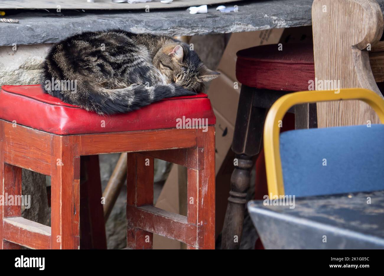 A snoozing cat in Feizor in the Yorkshire Dales, UK. Stock Photo