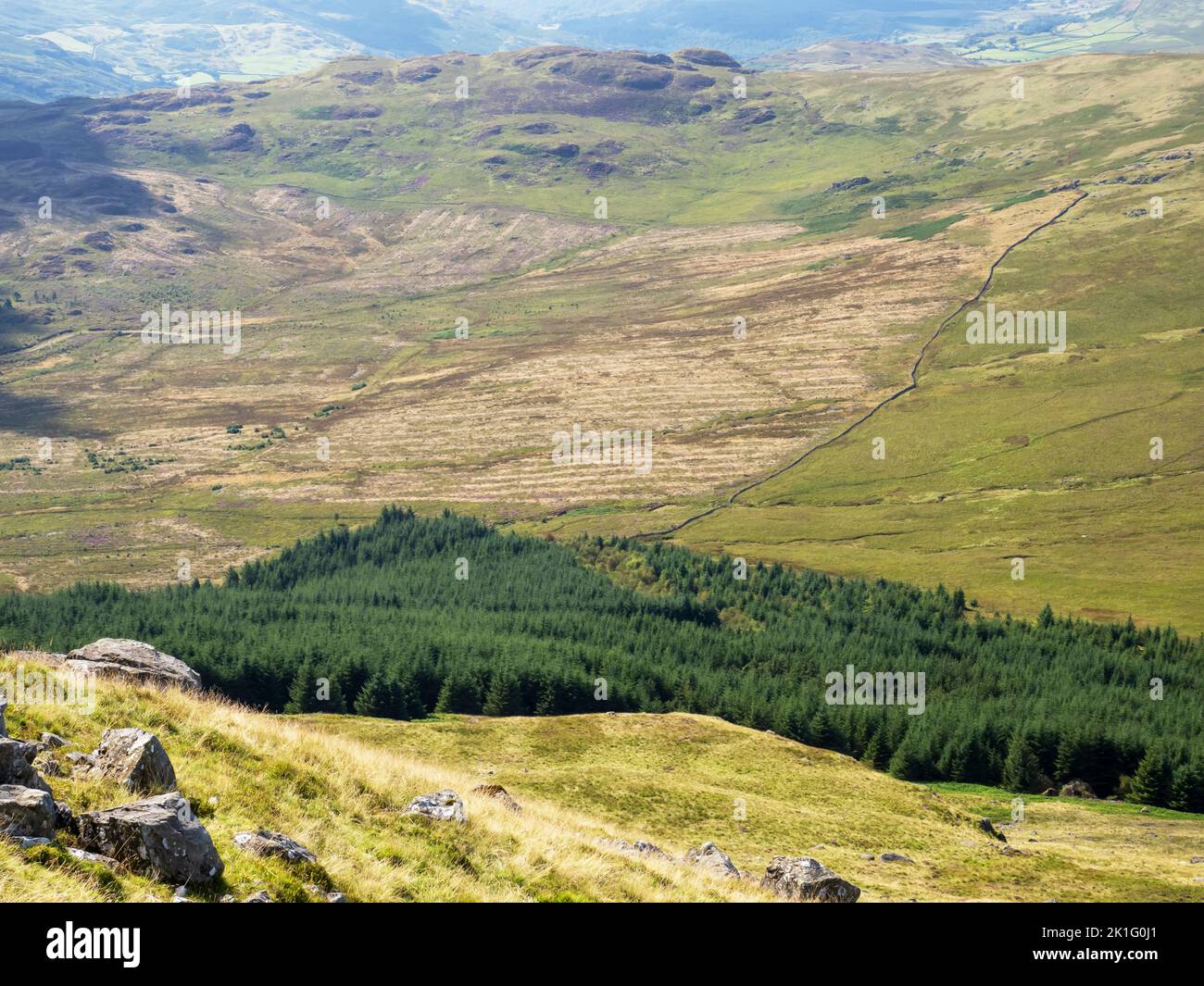 Former conifer plantation cleared to allow native regeneration in the Duddon Valley from Harter Fell, Lake District, UK. Stock Photo