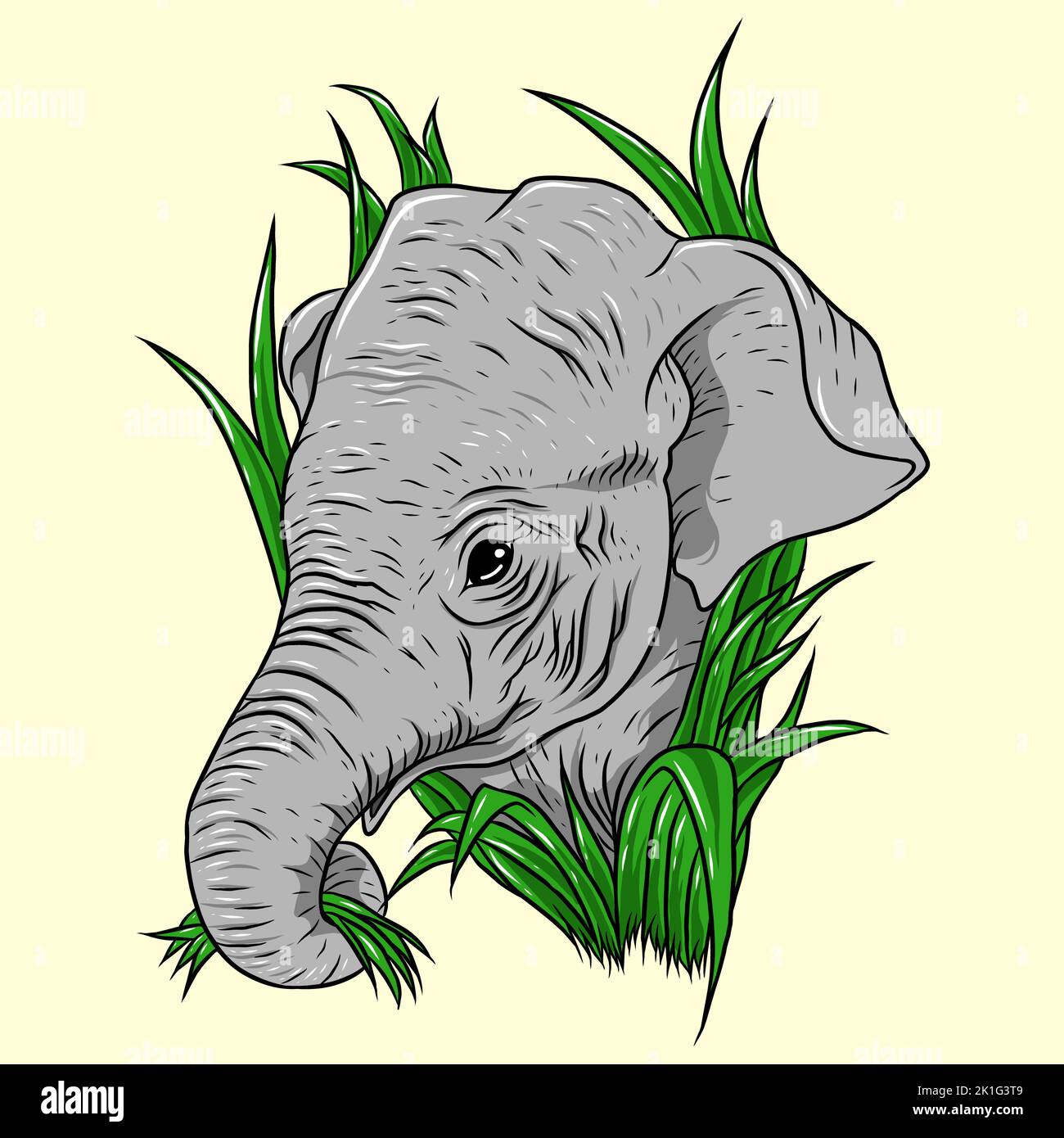 Cartoon elephant head isolated. Colored vector illustration of an elephant head with a stroke on a white background. Illustration of a proboscis mamma Stock Photo