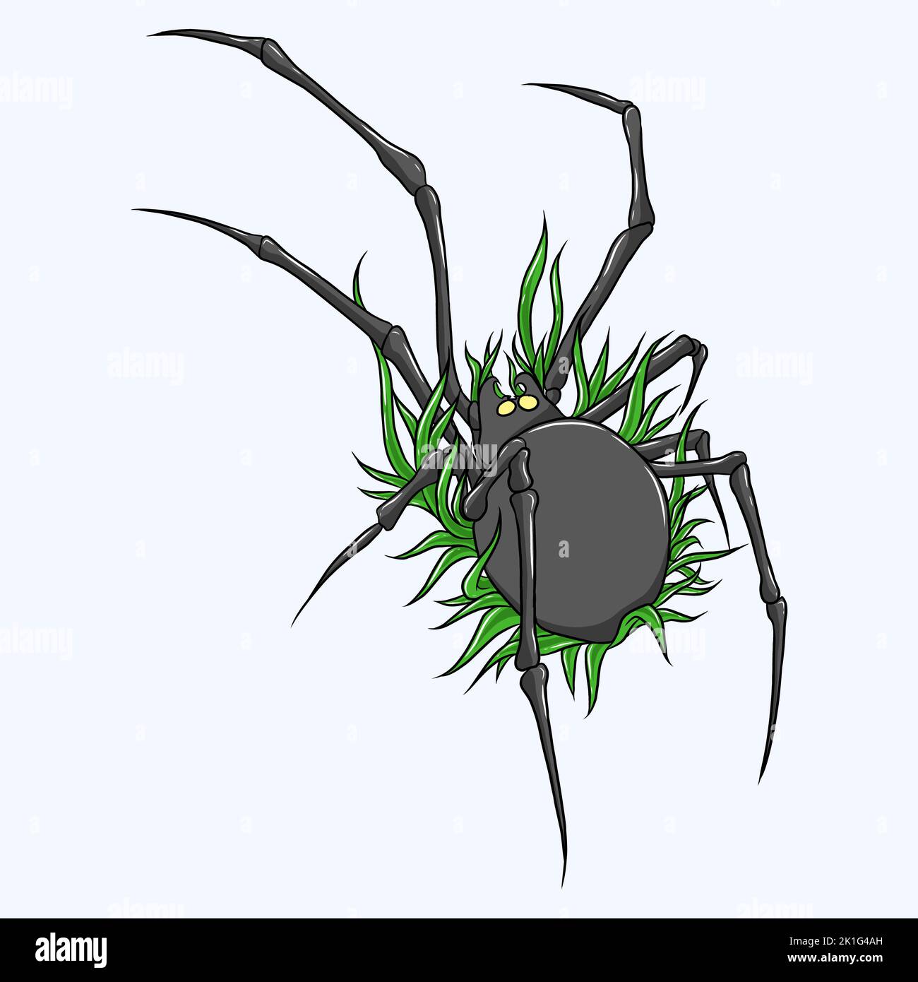 Arachnid phobia fear hi-res stock photography and images - Alamy