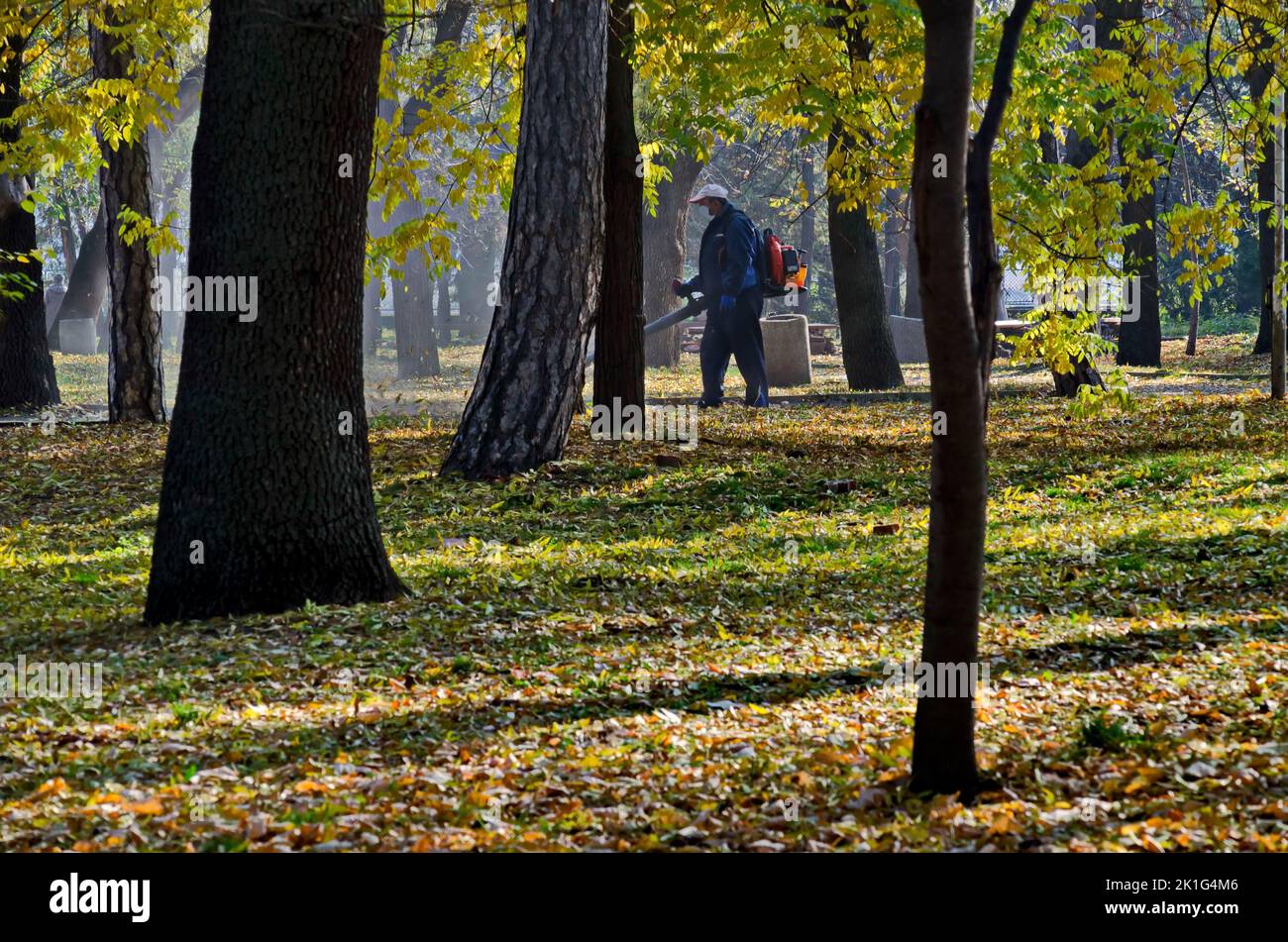 A worker with a blower cleans a city park of fallen autumn leaves, Sofia, Bulgaria Stock Photo