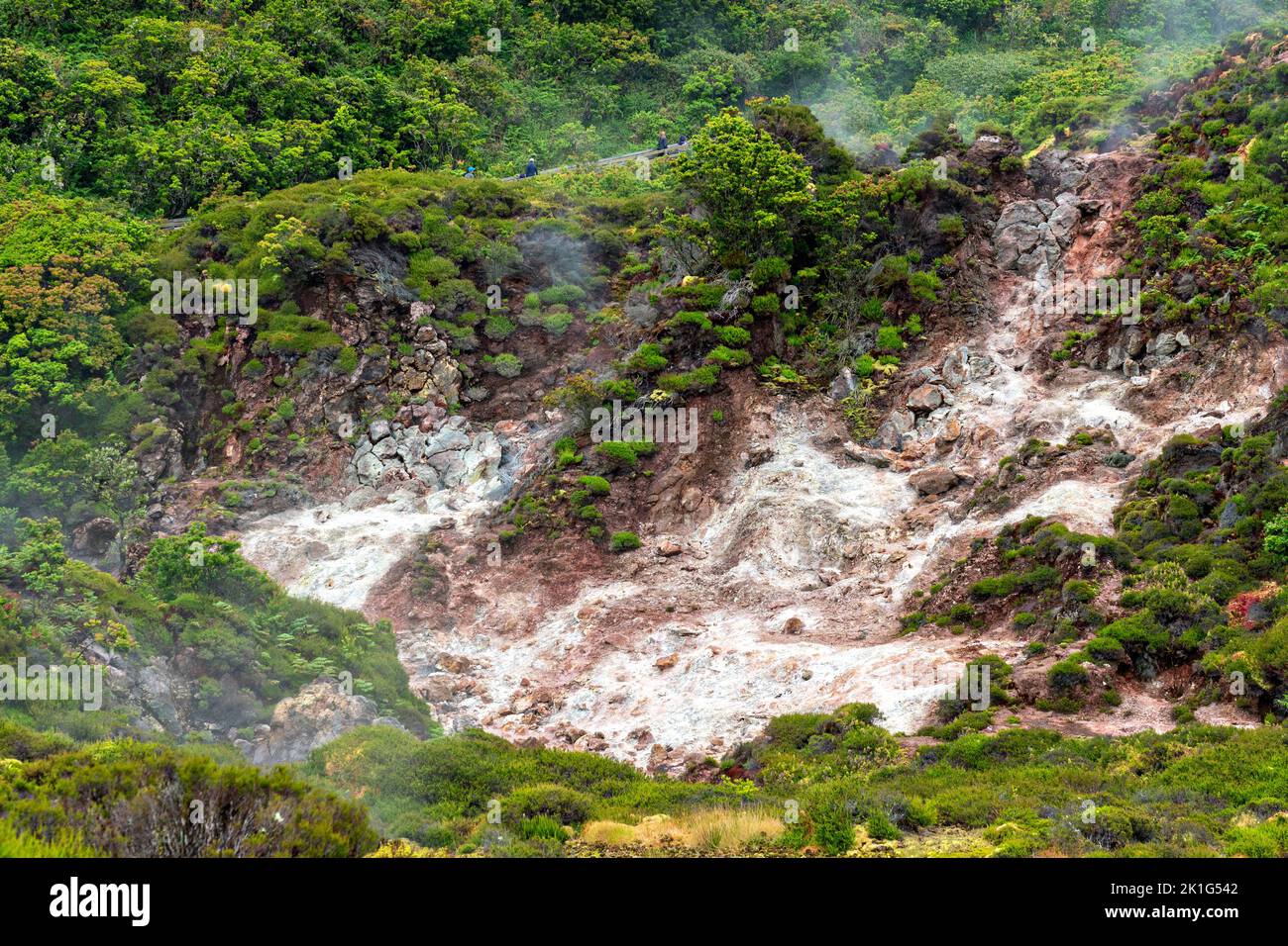 Carbon dioxide and sulfur gases vent from volcanic fumaroles in the Furnas do Enxofre nature park in Terceira Island, Azores, Portugal. The Azores are home to 26 active volcanoes, 8 of which are underwater. Stock Photo